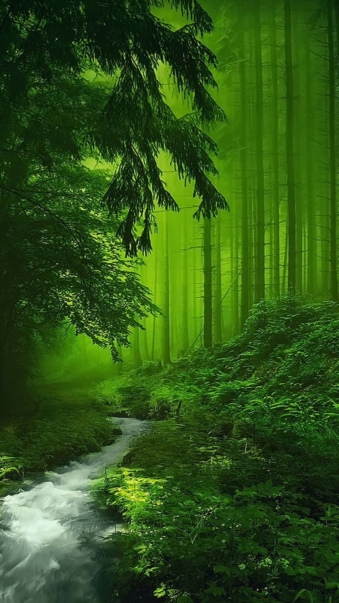 迷人綠色森林小徑 壁紙 — 一片明亮的翡翠森林，湍急的小溪蜿蜒穿過茂密的樹葉，斑駁的陽光灑落其間。