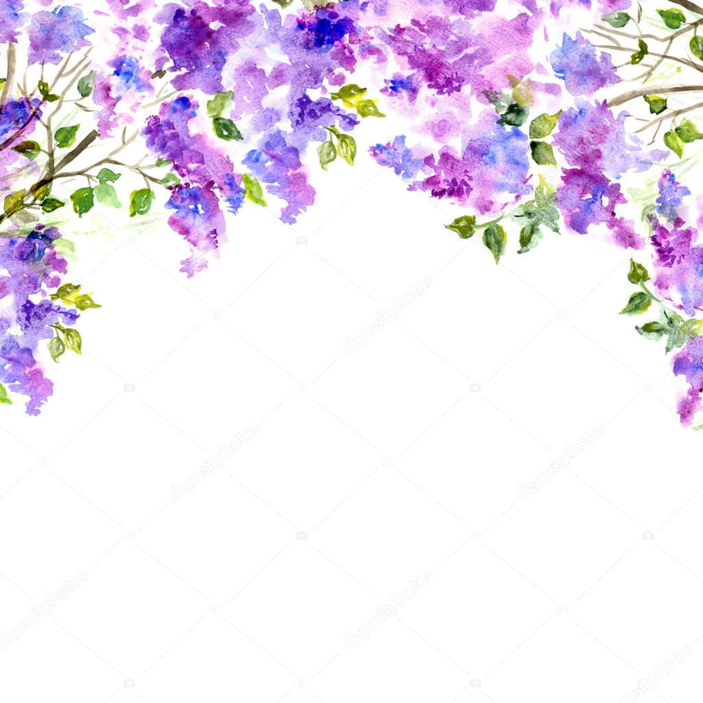 迷人薰衣草花卉背景 壁紙 — 充滿活力的水彩紫藤花以紫色和藍色調層疊而下，綠色葉子框住頂角，背景為純白色。