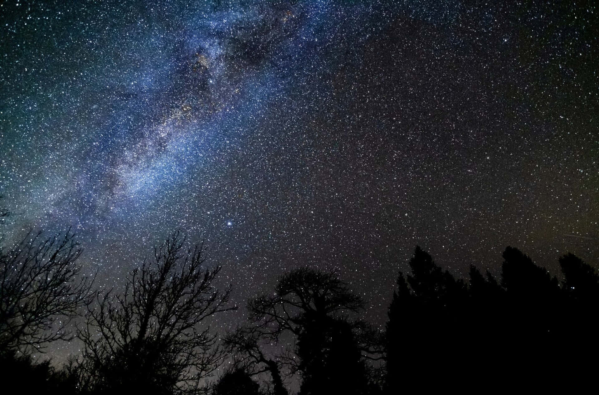 銀河系在黑暗的樹木剪影上方發光，在繁星點點的夜空下