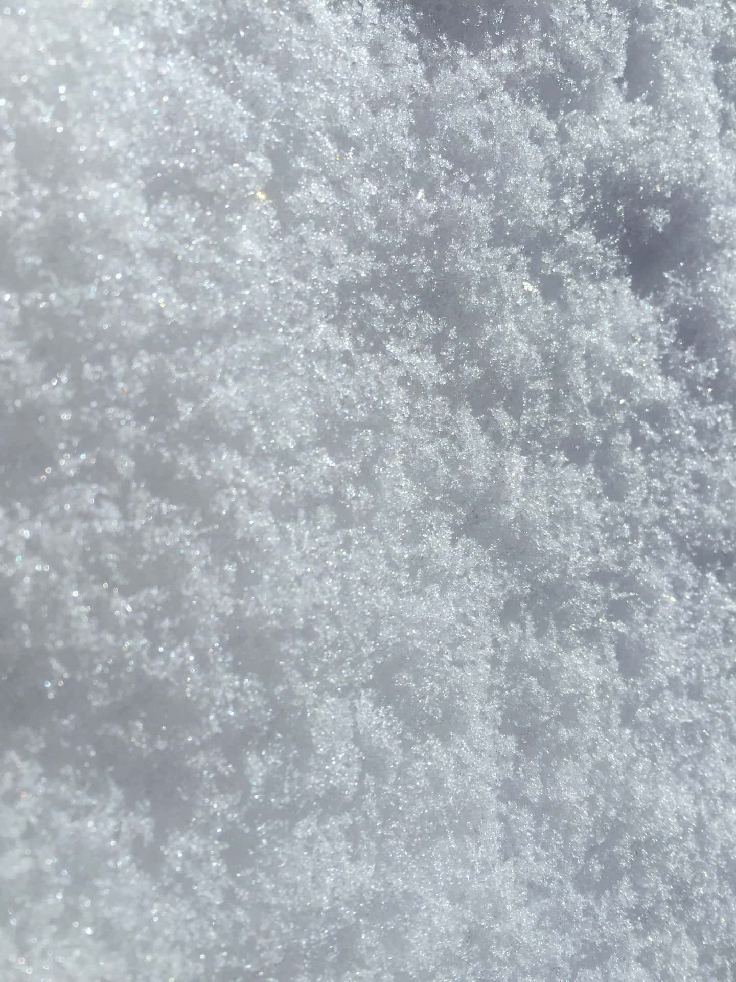 雪晶在陽光下閃耀的特寫