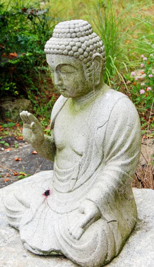 迷人高清佛像圖像 壁紙 — 一尊寧靜的石佛像盤腿打坐，在綠色樹葉和落葉中冥想。