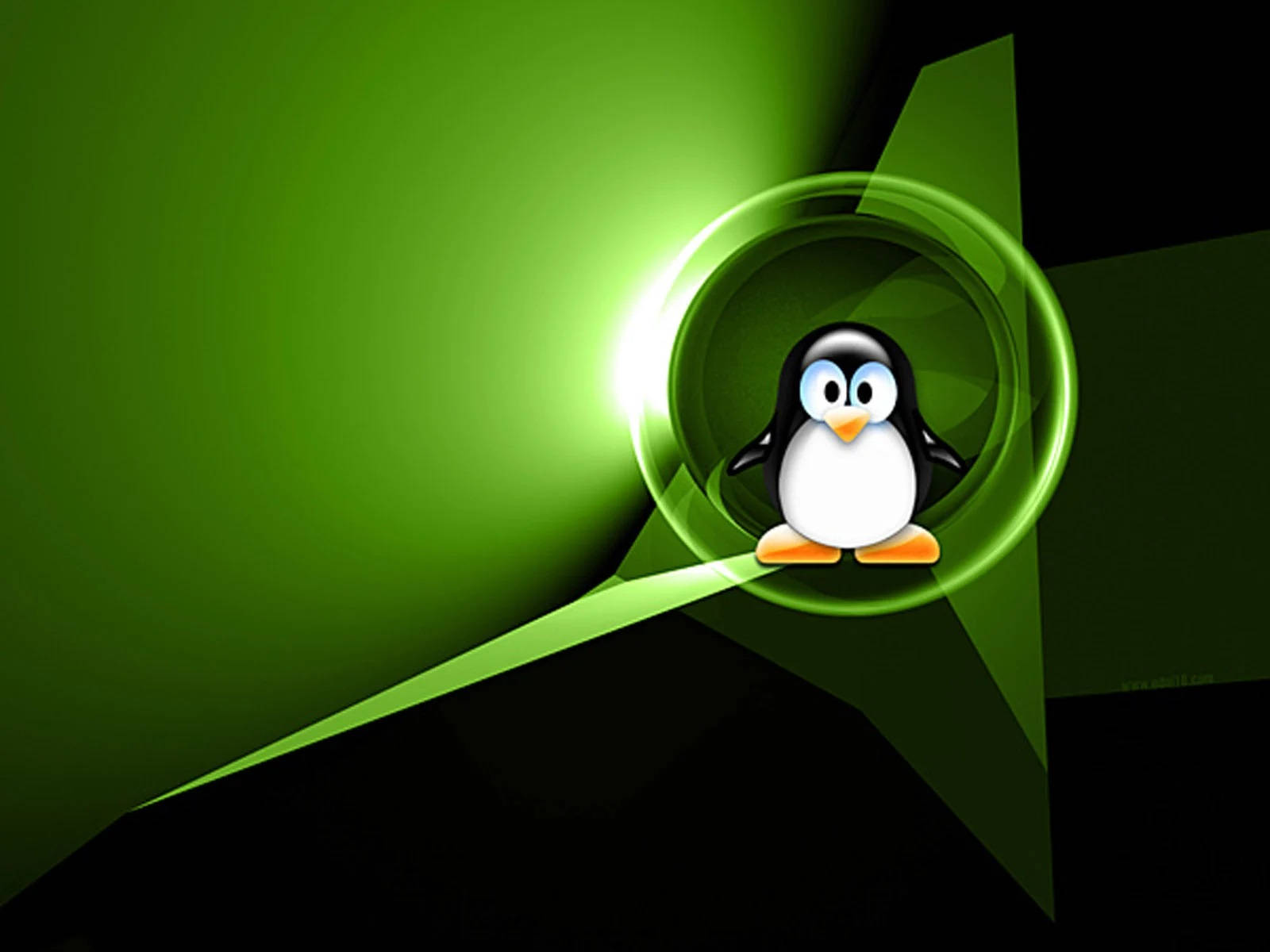 Linux 企鵝吉祥物在深色背景上的發光綠色傳送門中。