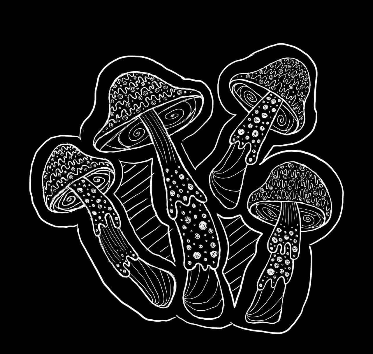 迷失於迷幻蘑菇的神奇世界 壁紙 — 四個圖案複雜的蘑菇，菌蓋和菌柄帶有漩渦和點狀圖案，以白色輪廓勾勒在純黑色背景上。