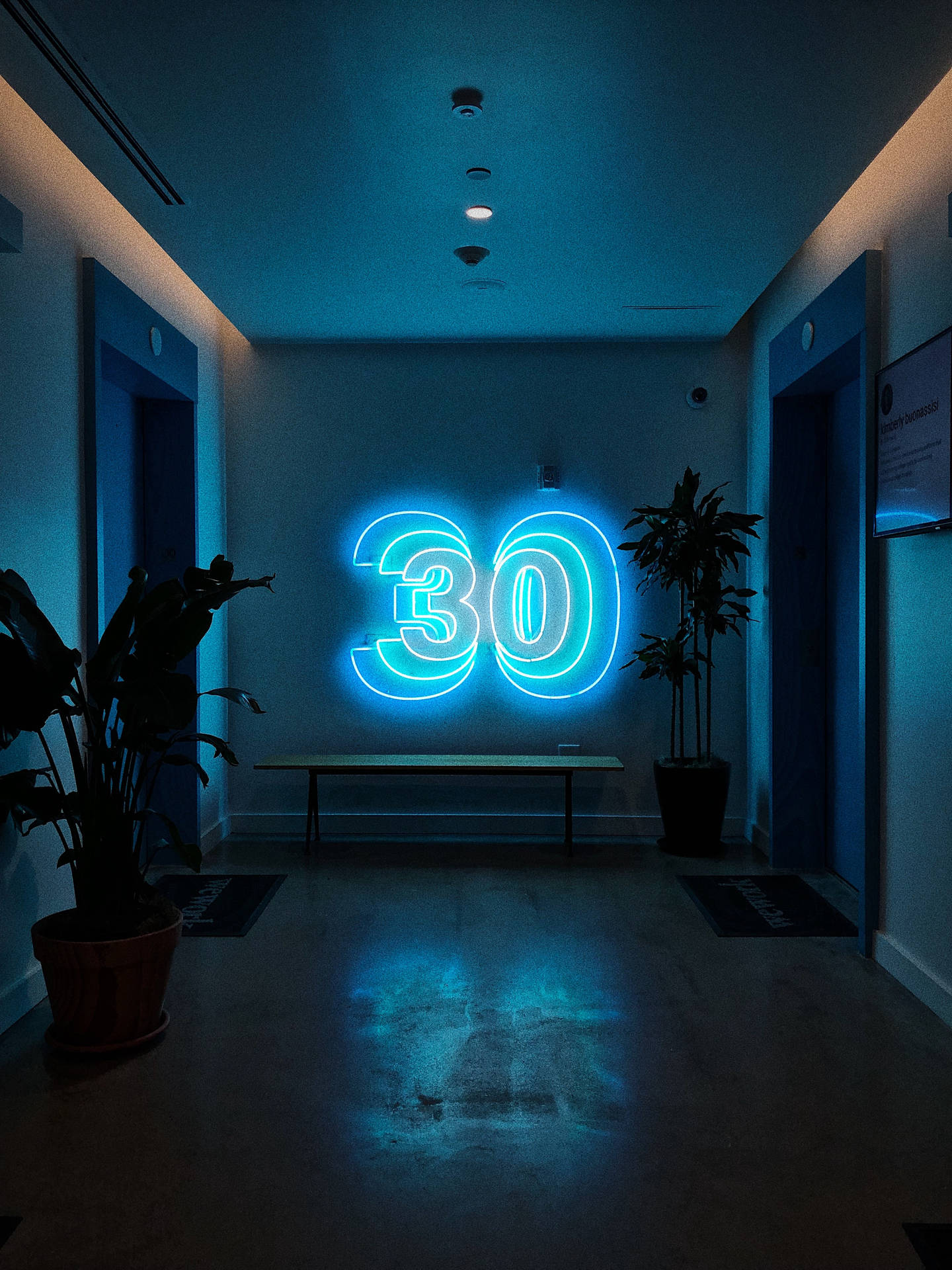昏暗走廊中帶有盆栽植物和門的藍色霓虹數字30。