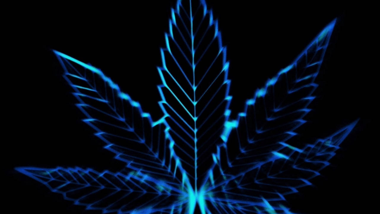 迷幻暗色大麻葉 壁紙 — 一個發光藍色霓虹大麻葉，帶有銳利的幾何線條，在黑色背景上脈動。