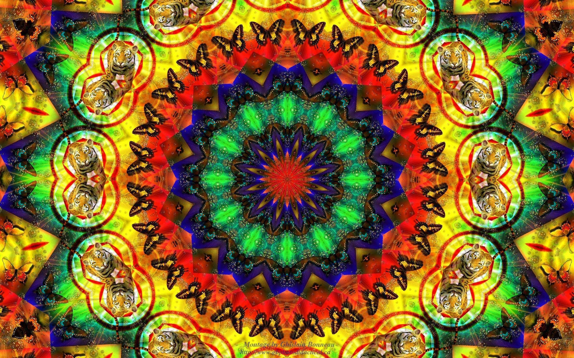 對稱的數位藝術，老虎和蝴蝶以彩虹色呈現。