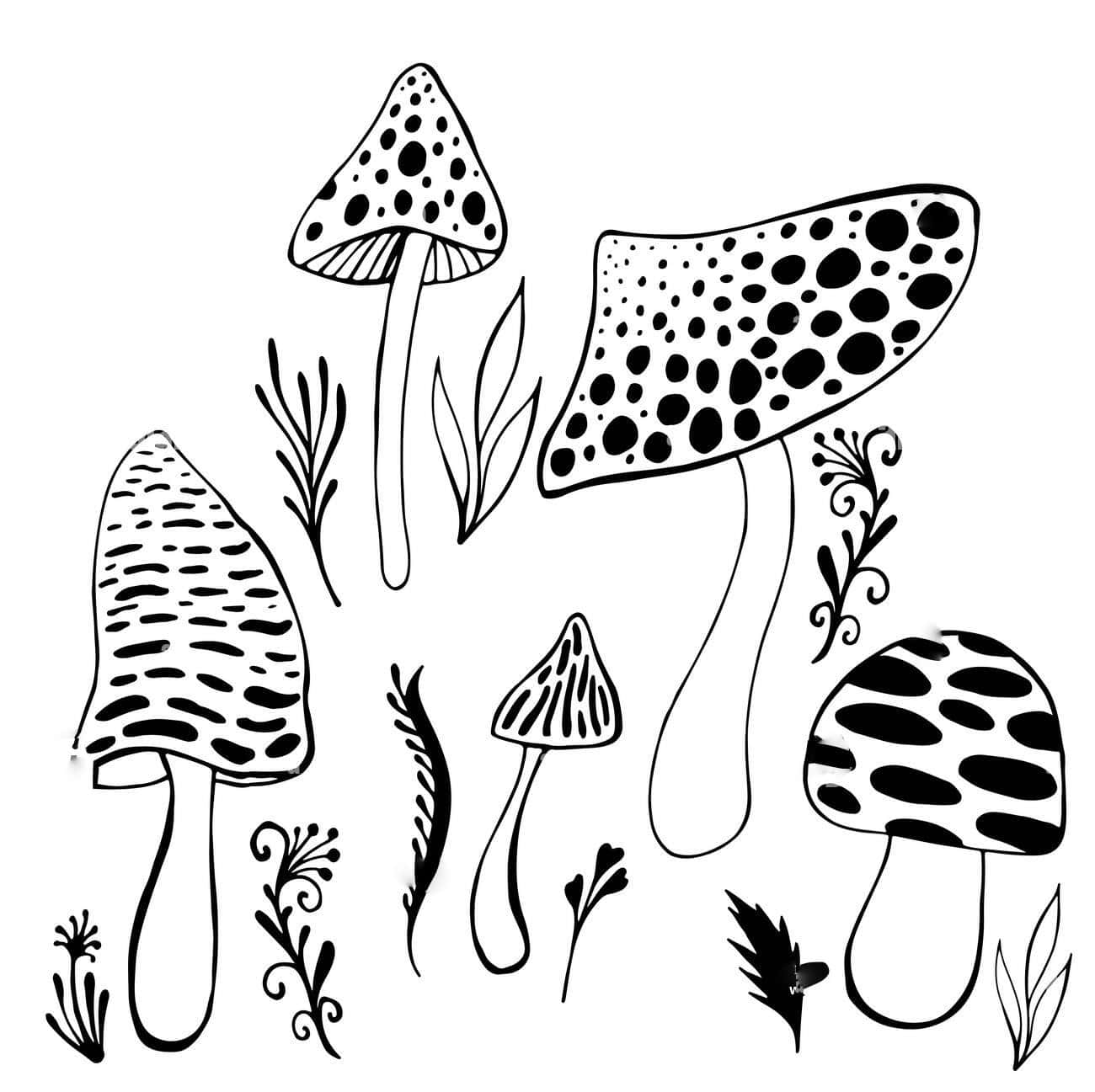 迷幻蘑菇的超現實與美麗插畫 壁紙 — 黑白線條藝術插圖，描繪奇特的斑點蘑菇和風格化的葉子，背景為純色。