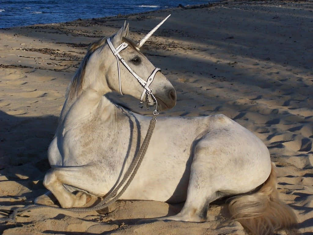 一隻白色獨角獸，銀色獨角，在沙灘上靠近海洋休息。