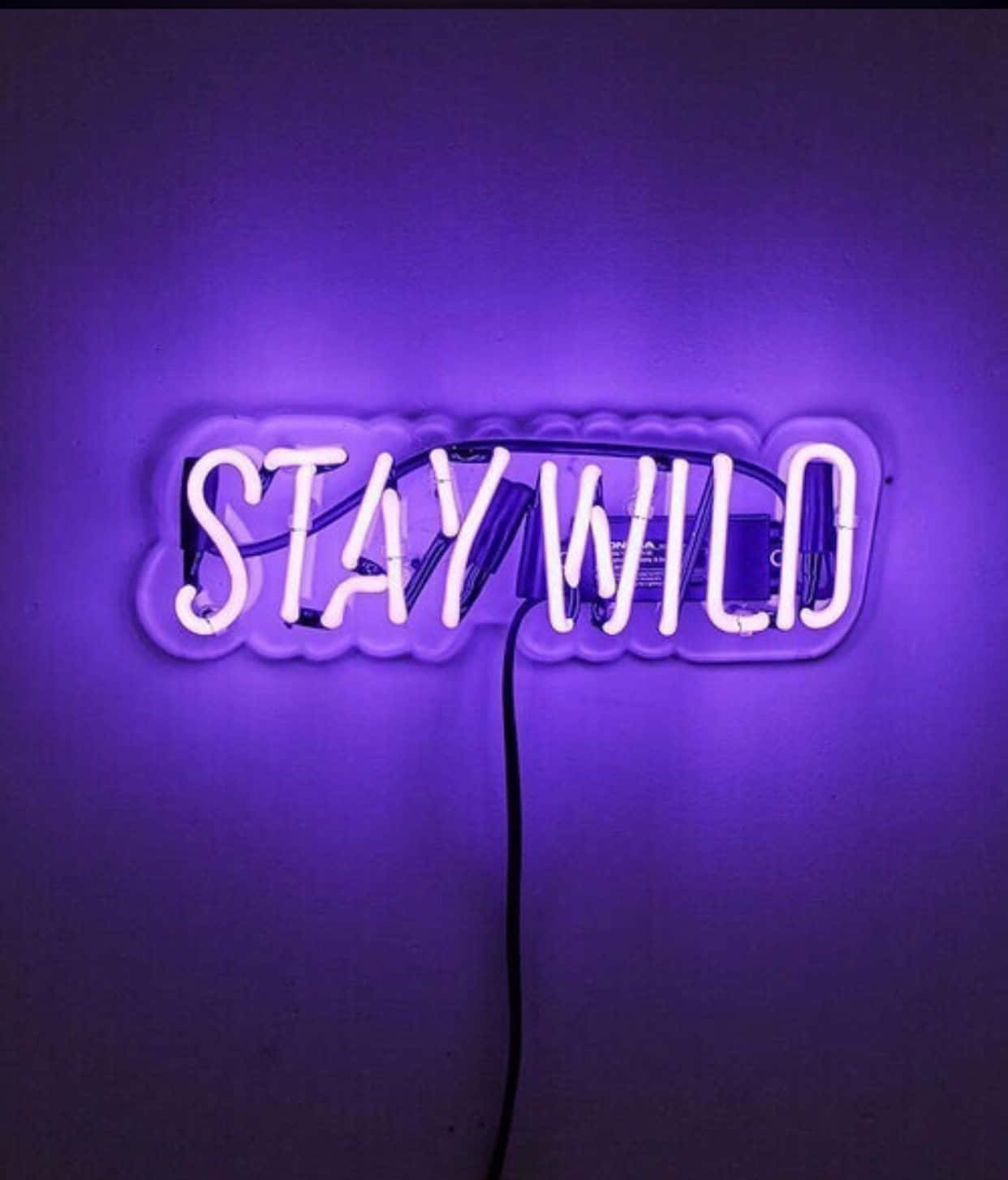 紫色霓虹燈牌，上面寫著「STAY WILD」，安裝在牆上。