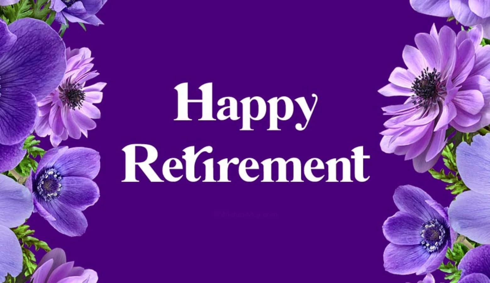 紫色花朵在紫色背景上環繞著「Happy Retirement」訊息。