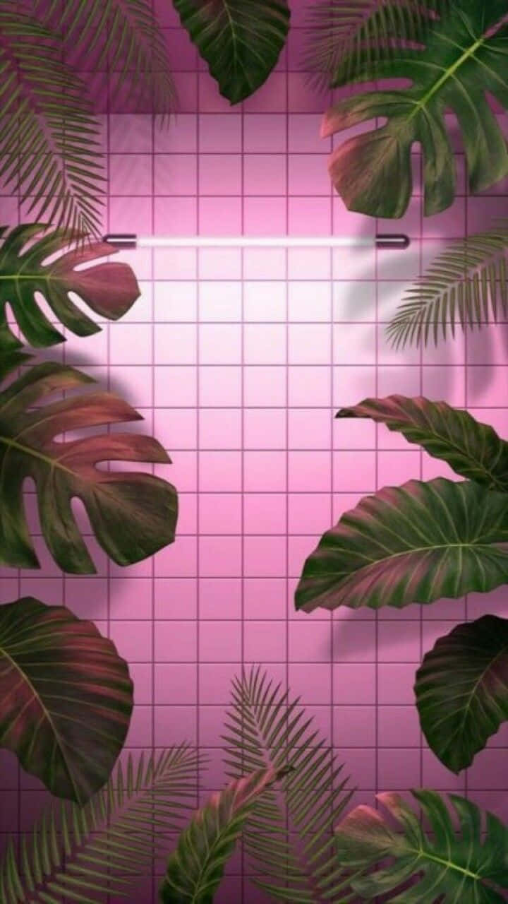 熱帶葉子框住一個發光的霓虹燈管，背景是粉紅色網格牆。