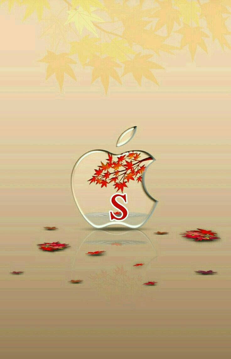 玻璃Apple標誌，帶有紅色楓葉和字母S，位於反光表面，有落葉。 — 字母 壁紙