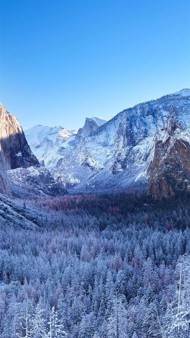 藍天下白雪覆蓋的山脈和森林
