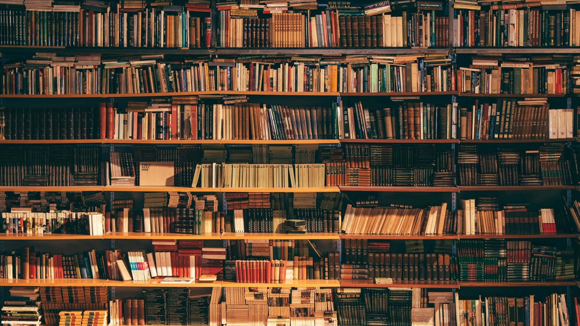 一排排裝滿復古書籍的木書架沐浴在溫暖的陽光中。