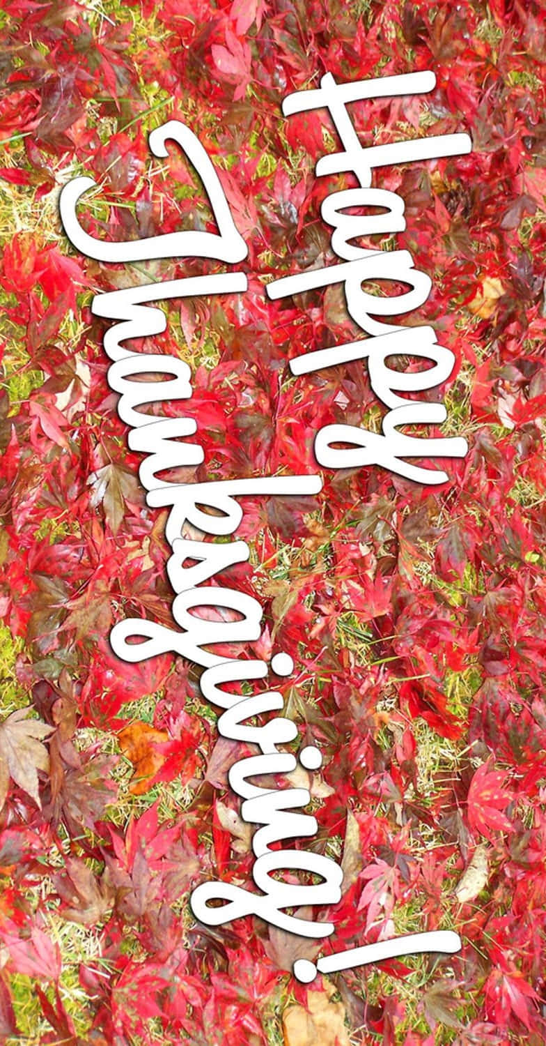 紅色秋葉上的 Happy Thanksgiving 文字