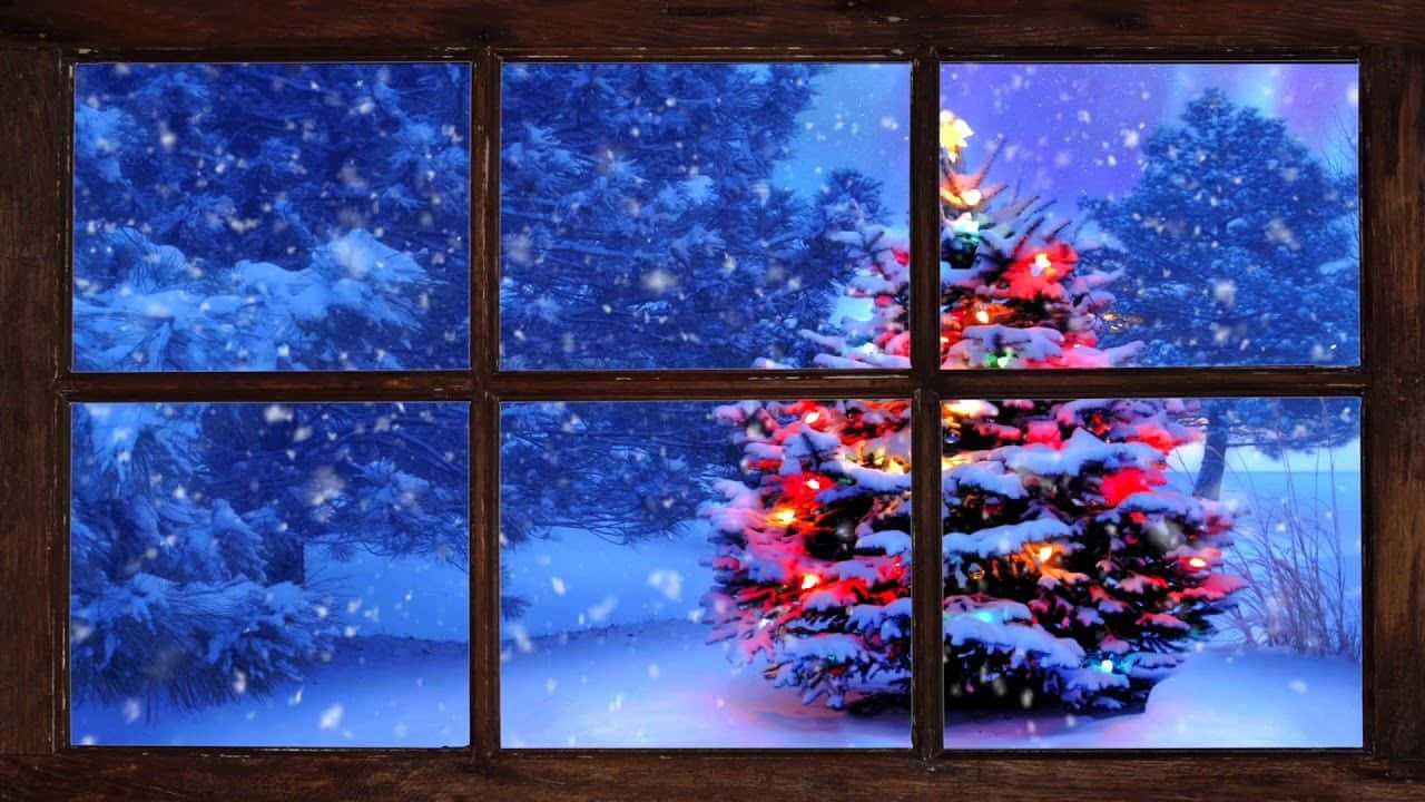 Winter Scene 桌布 壁紙 — 透過木窗框看到的舒適冬日景象，展示一棵被雪覆蓋的聖誕樹，閃爍著彩色燈光，外面雪花輕輕飄落。