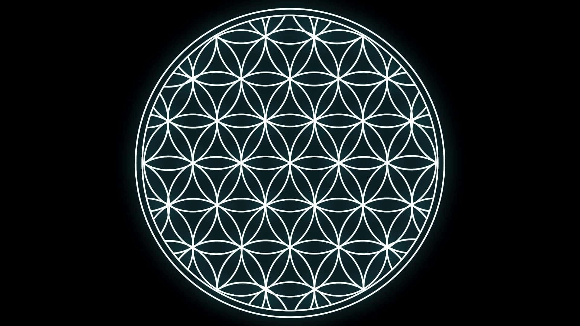 黑色背景上發光的白色生命之花符號