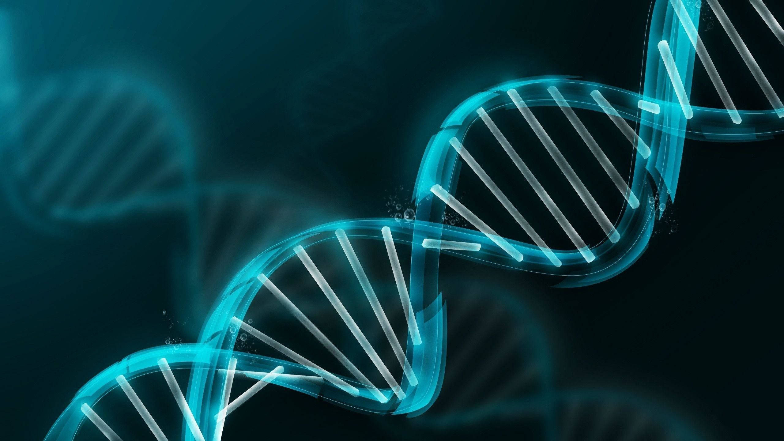 透過科學解開遺傳學奧秘 壁紙 — 發光青色DNA雙螺旋在深青色背景上盤旋，帶有柔和散景效果。