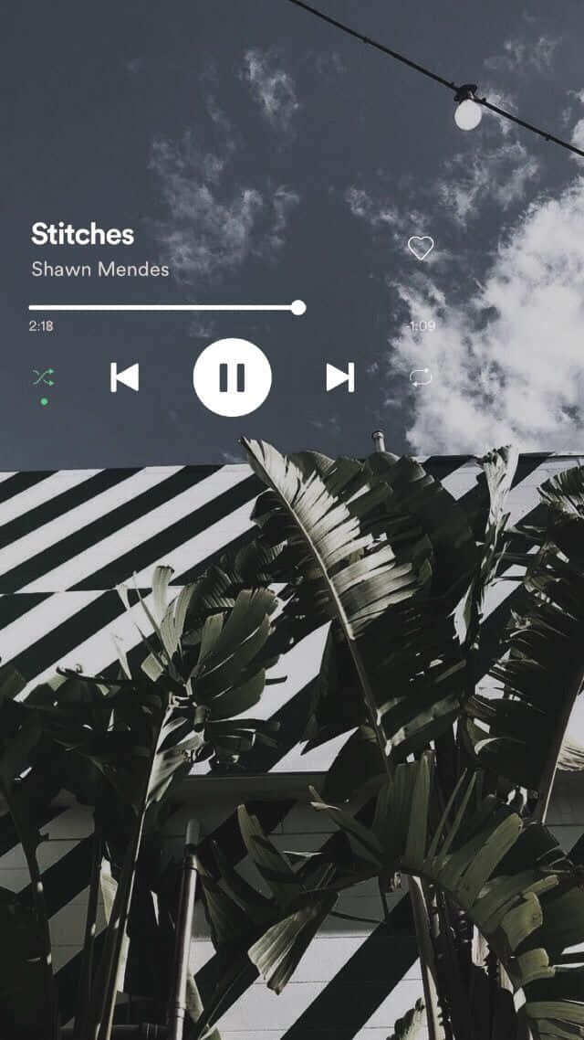 透過聲音發現音樂的美 壁紙 — 在熱帶葉子圖案上，以多雲天空為背景，帶有串燈的單色音樂播放器疊加層。