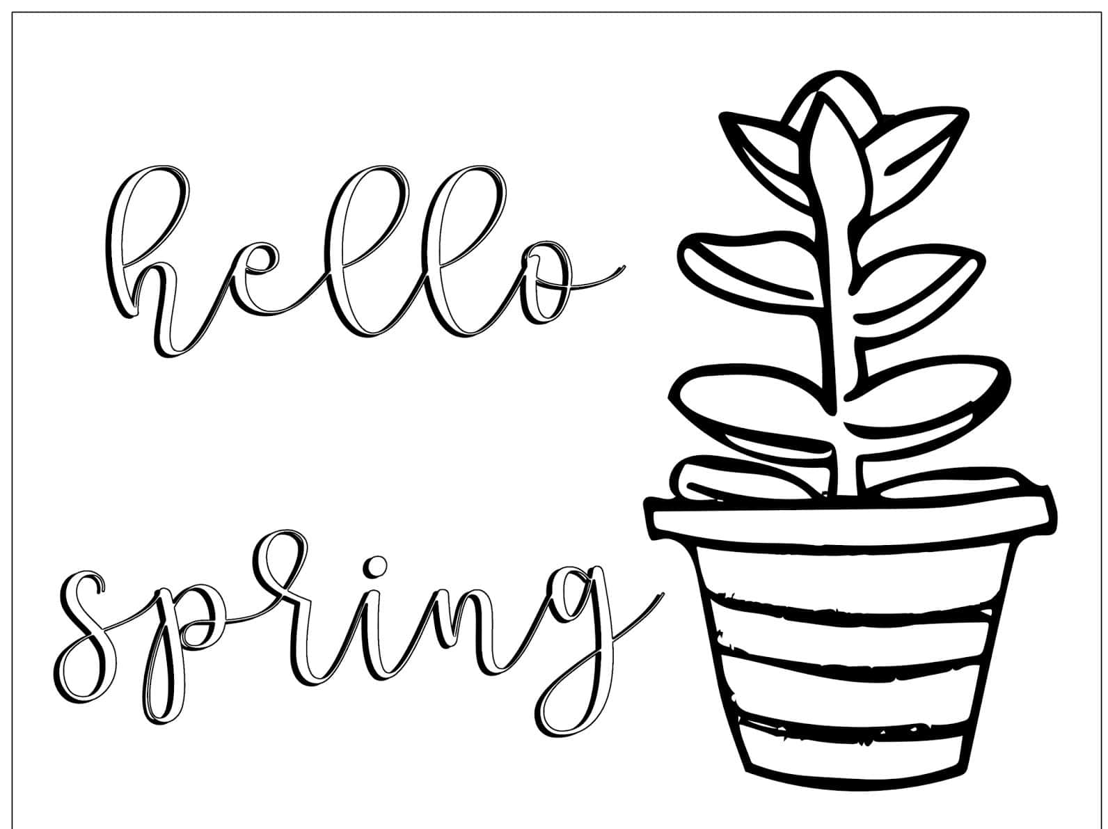 Hello spring 文字旁邊有一盆線條風格的多肉植物。
