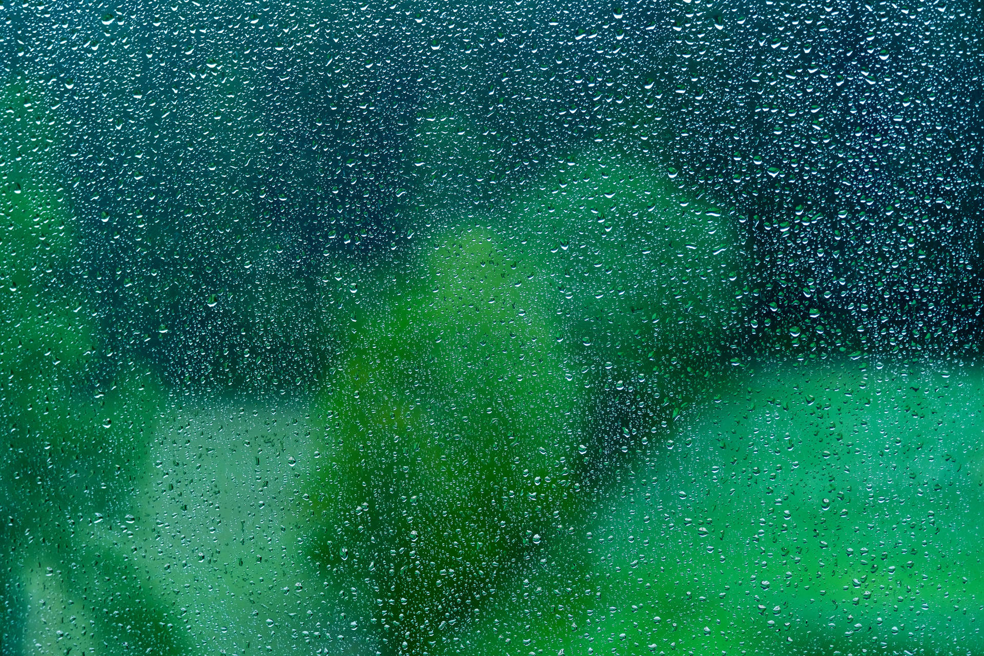 玻璃上的雨滴與窗外模糊的綠色樹葉