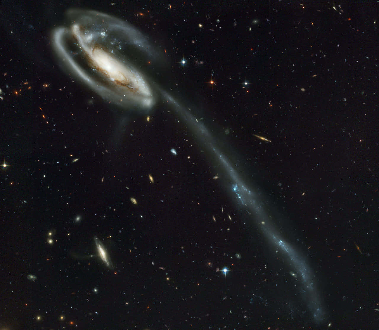 透過這張精美的NASA星系圖片，欣賞宇宙的奇觀 壁紙 — 一個具有明亮核心和旋轉臂的螺旋星系，在星場背景下與一條長潮汐尾相撞。
