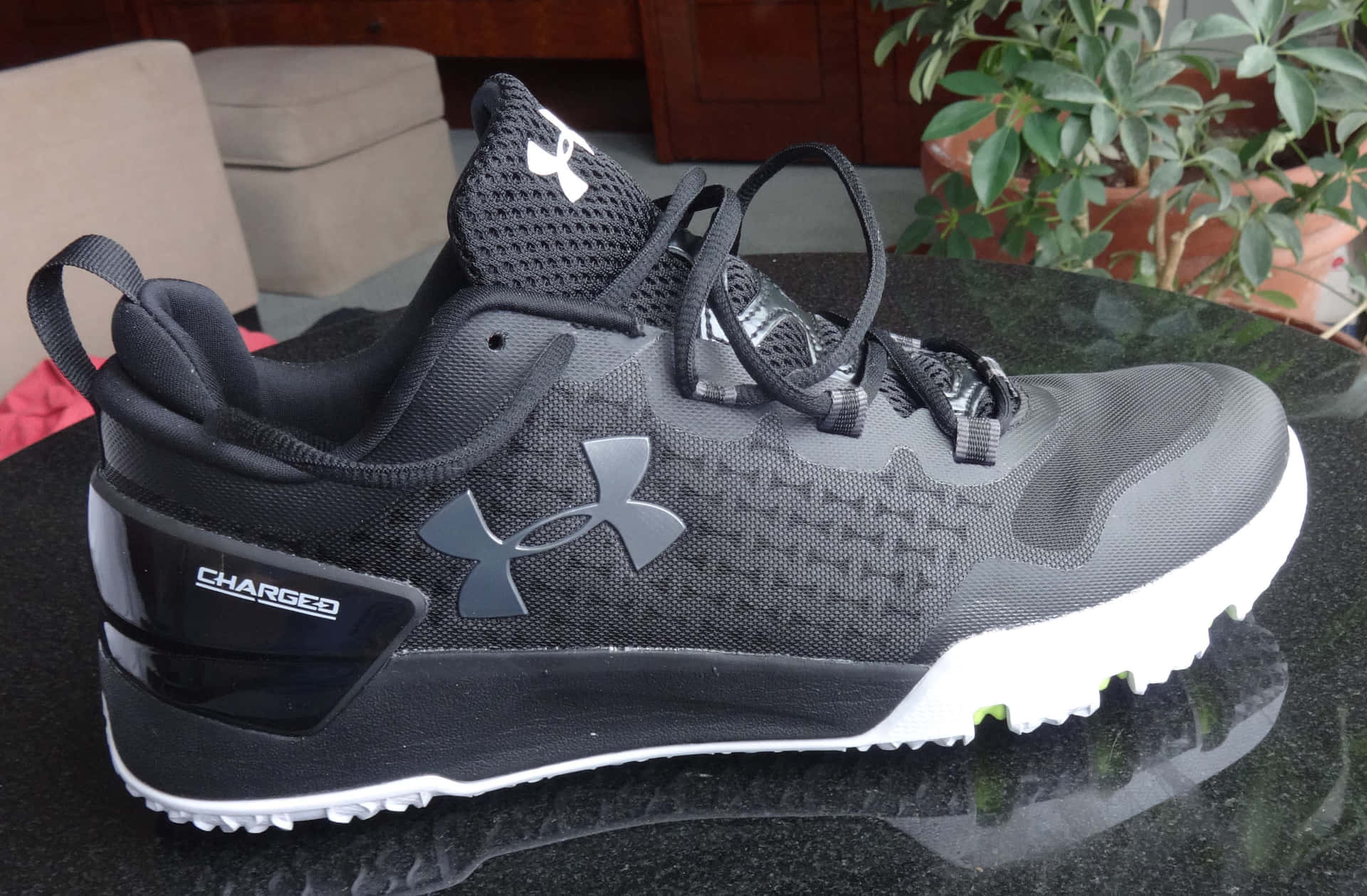 黑色Under Armour Charged運動鞋放在反光桌子上，旁邊有植物。
