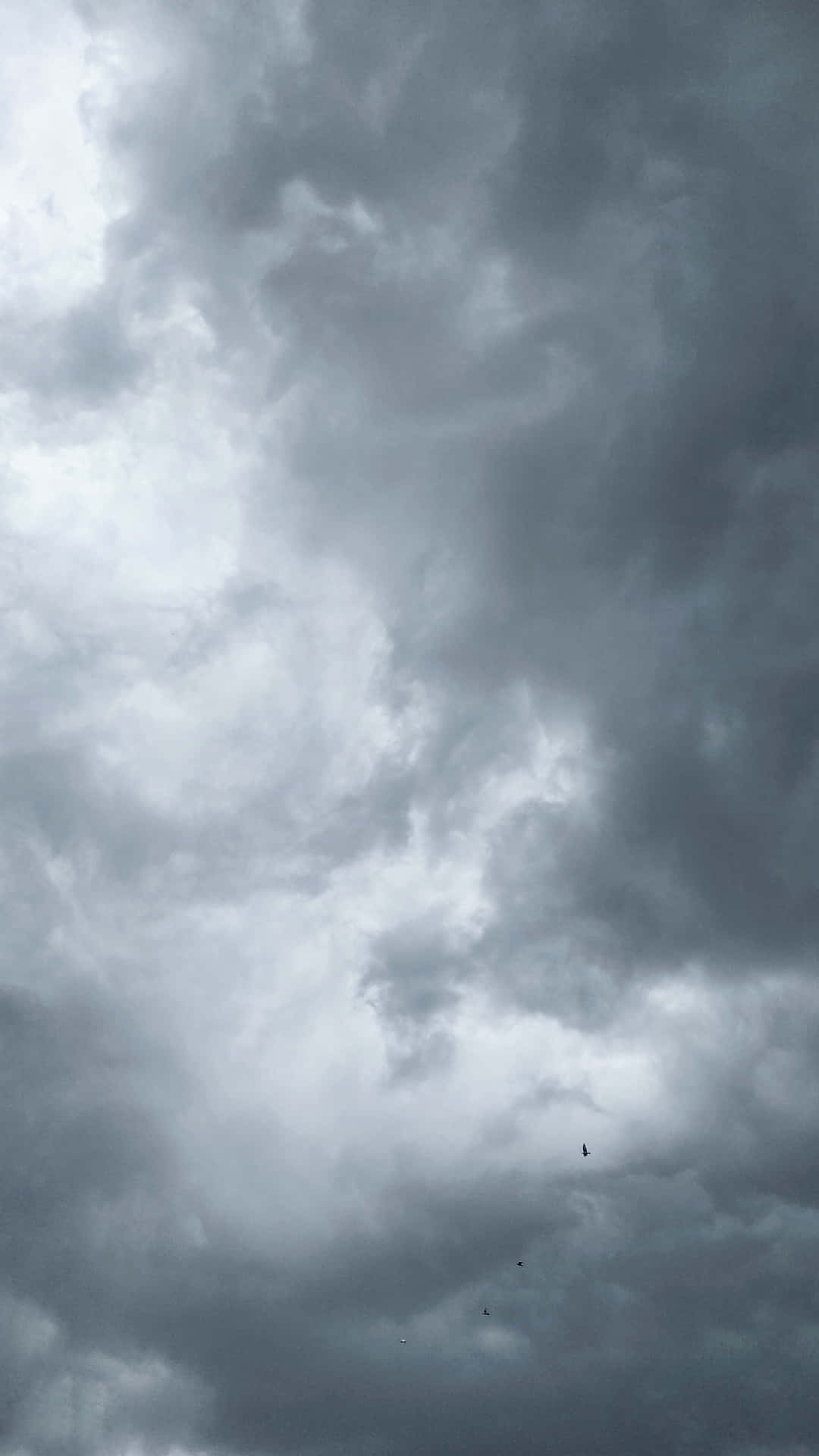 黑暗的風暴雲佈滿天空，一隻孤鳥在黑暗中飛翔。