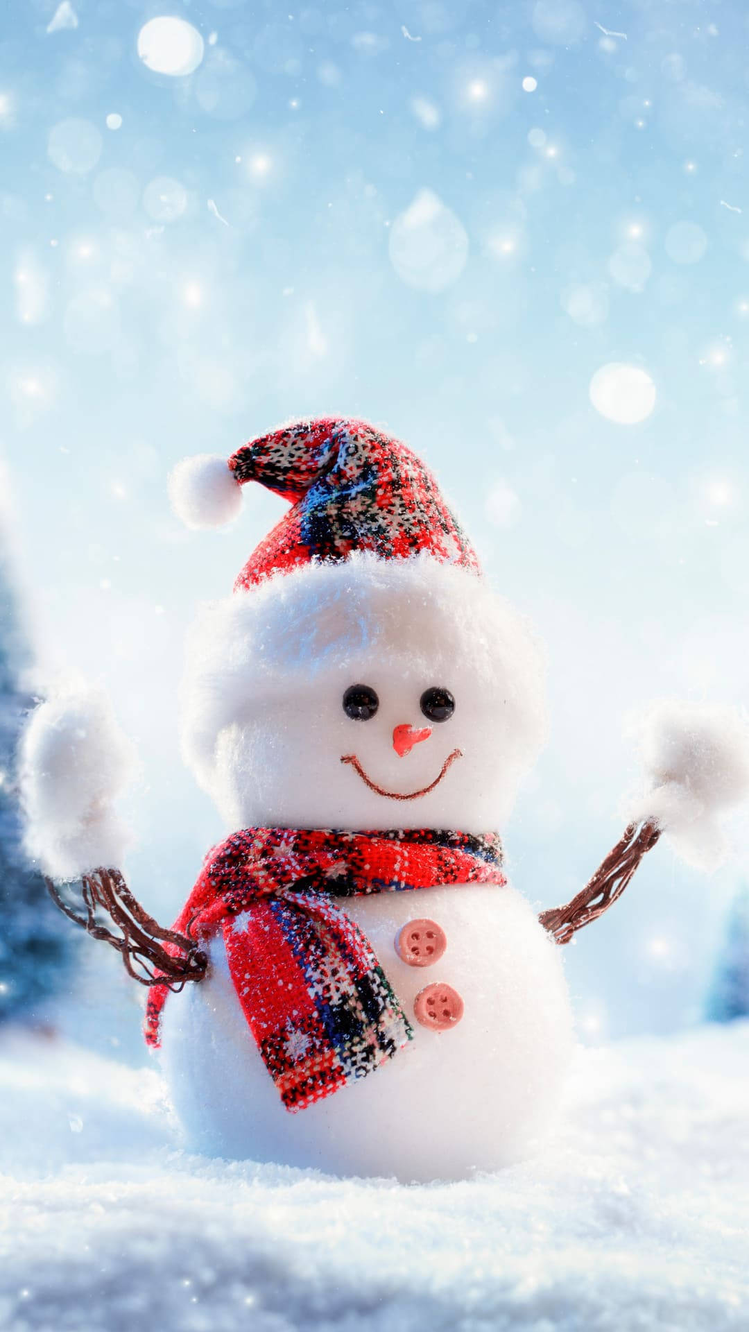 一個微笑的雪人戴著紅色格紋帽子和圍巾站在雪地裡。