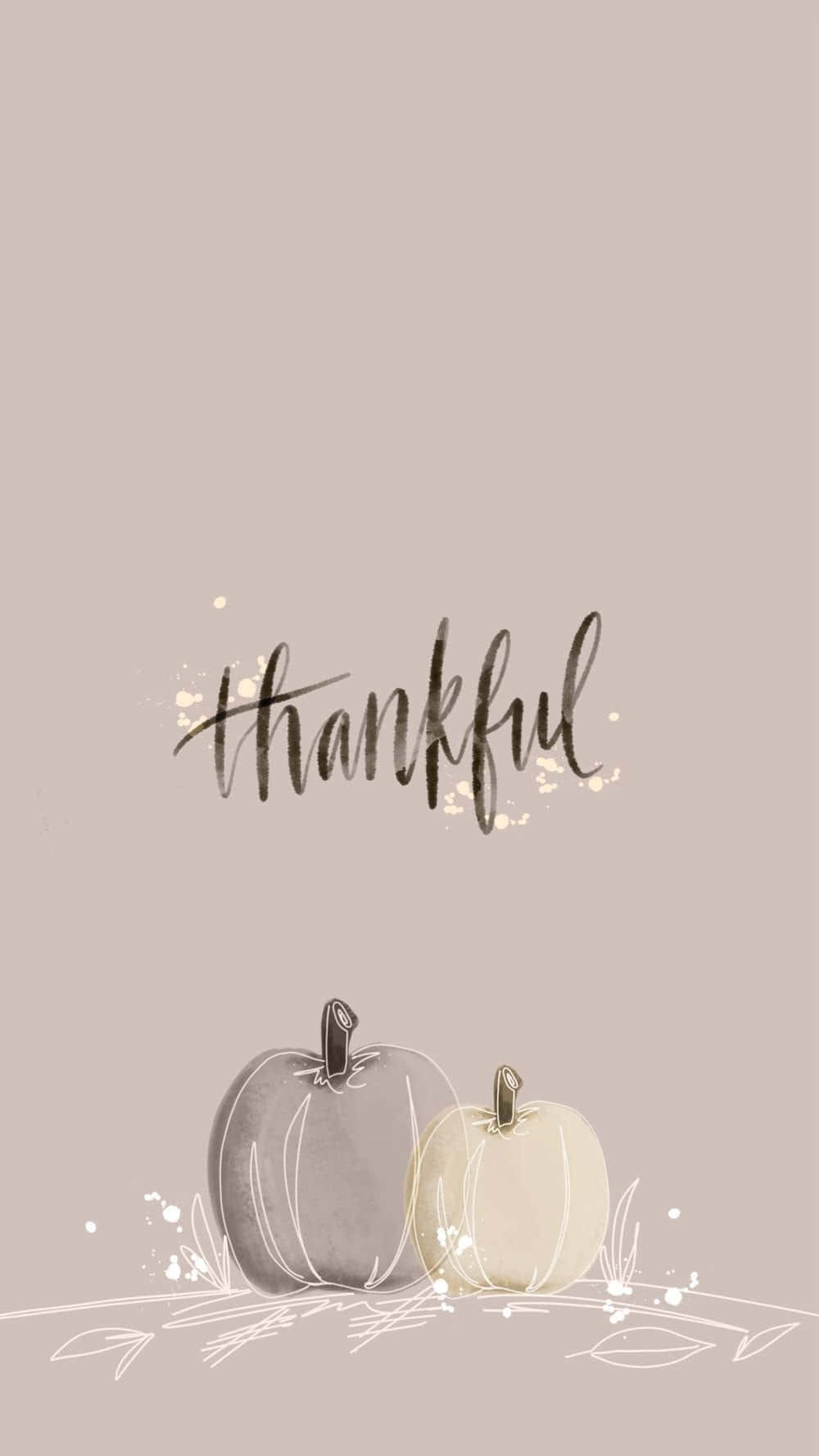 兩個南瓜，上方寫有「thankful」一詞。