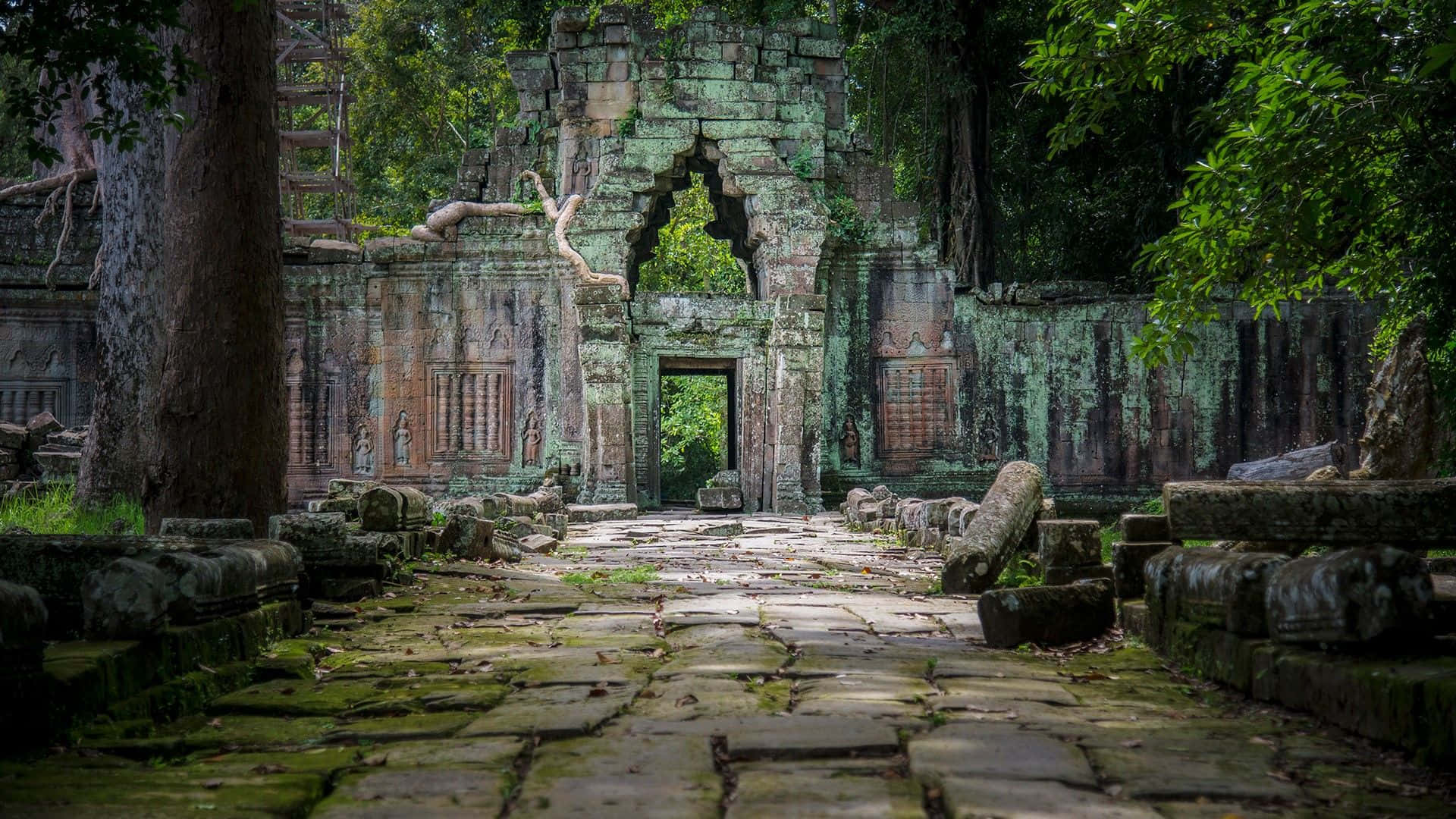 這座古老寺廟的驚人建築 壁紙 — 古老石廟遺跡在斑駁陽光下被茂密綠植和苔蘚覆蓋。