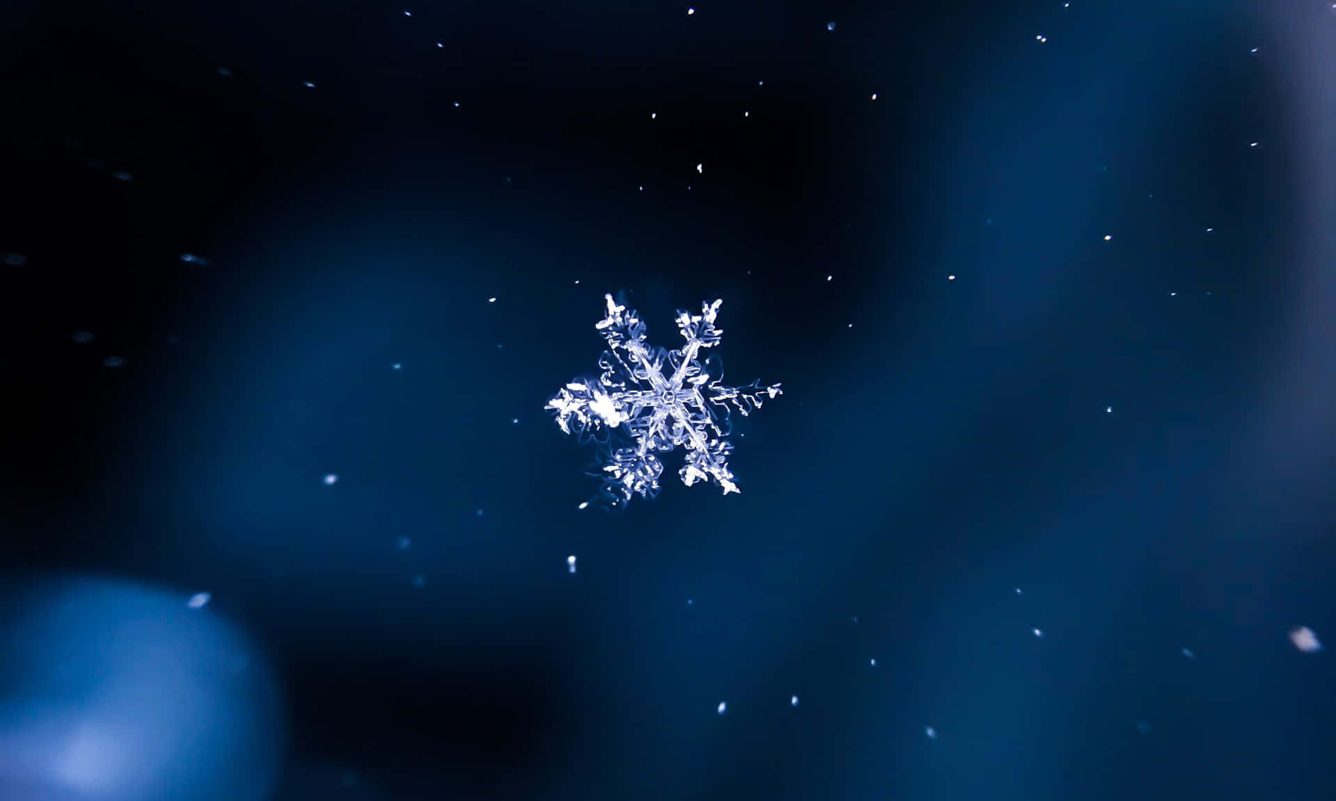這張雪花圖片展現了雪花的精緻與獨特之美。 壁紙 — 一片精緻的雪花在深藍色模糊背景中發光，並有漂浮的粒子。