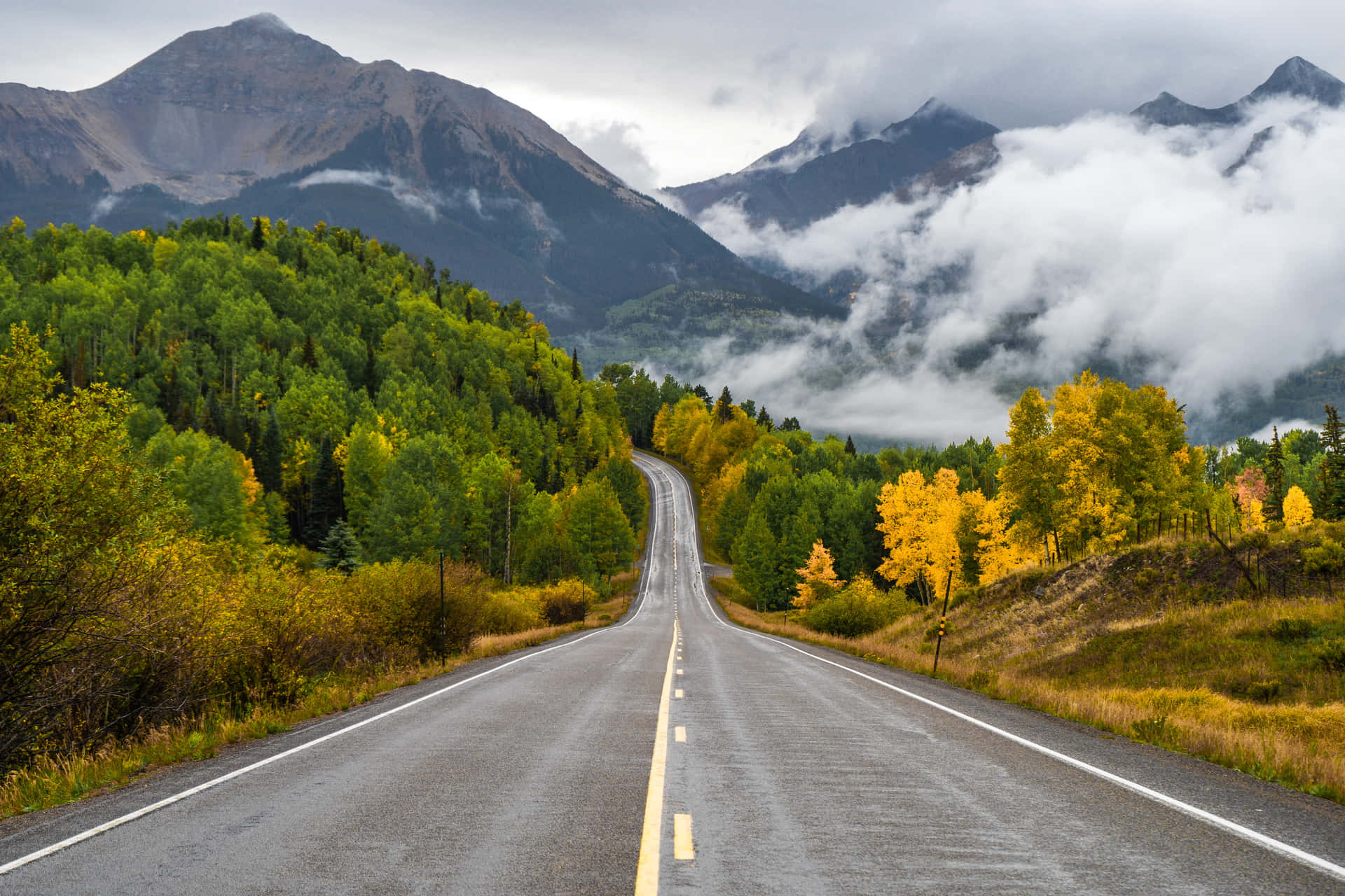蜿蜒的道路穿過秋天的森林，背景是霧氣籠罩的山脈