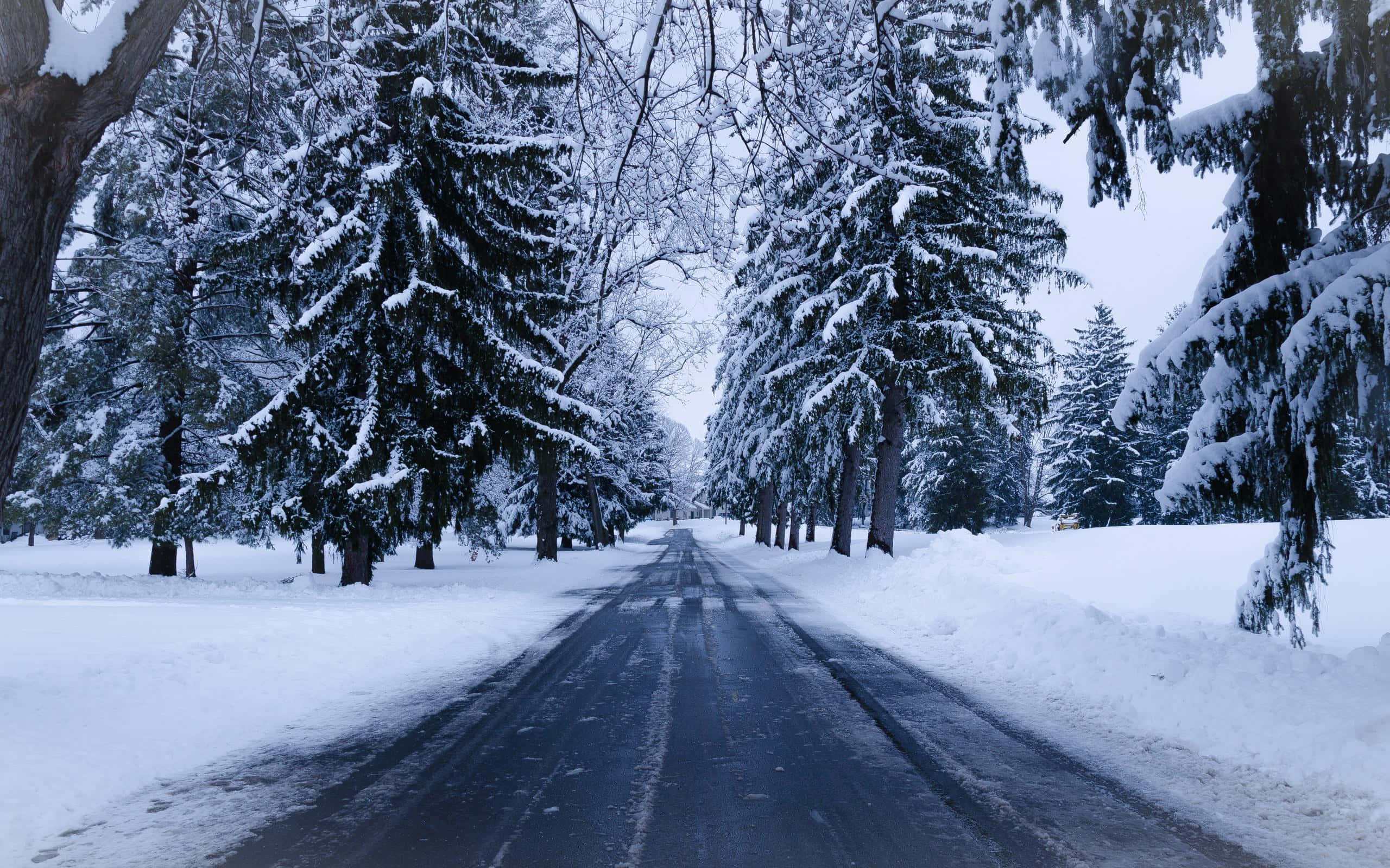 通往未知的彎曲道路之旅 壁紙 — 一條被雪覆蓋的道路蜿蜒穿過茂密的常綠樹林，天空陰沉，冬日景象。