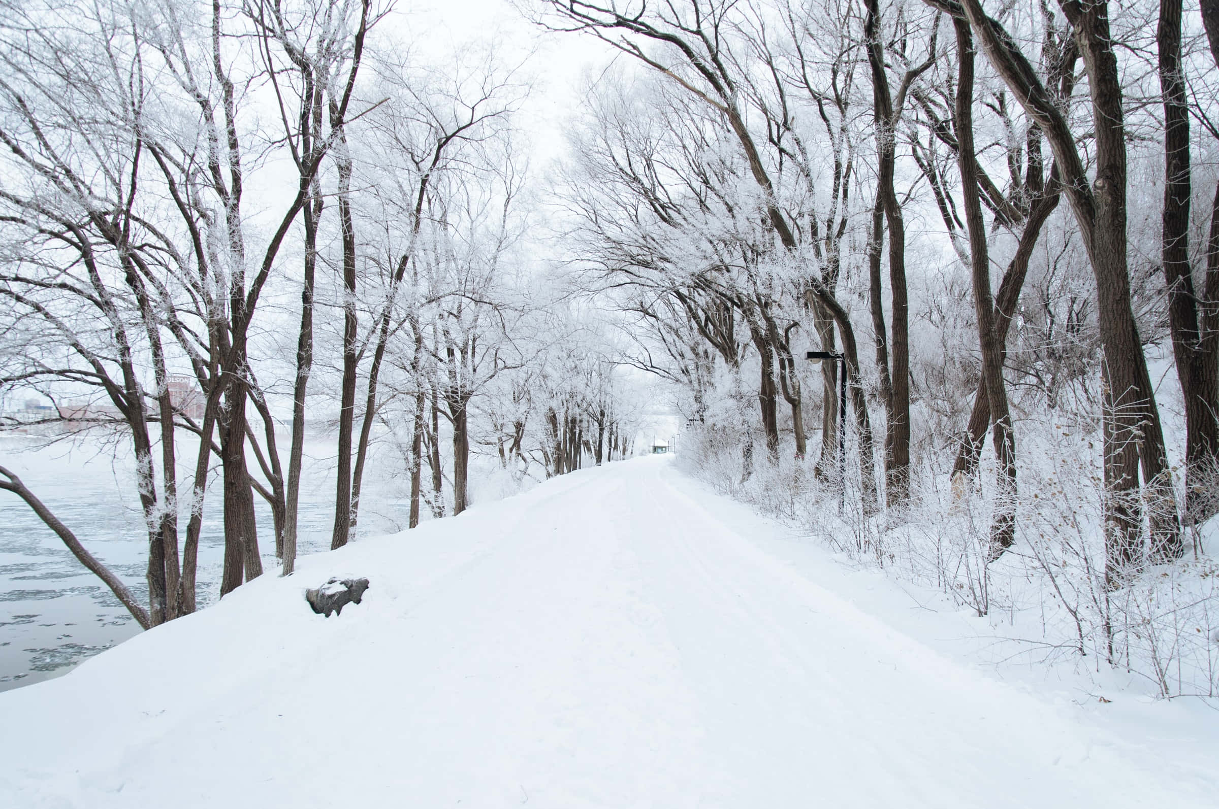 通往河流的雪覆小徑 壁紙 — 一條白雪覆蓋的小徑蜿蜒穿過冬日光禿的樹木，旁邊是一條結冰的河流，天空多雲。