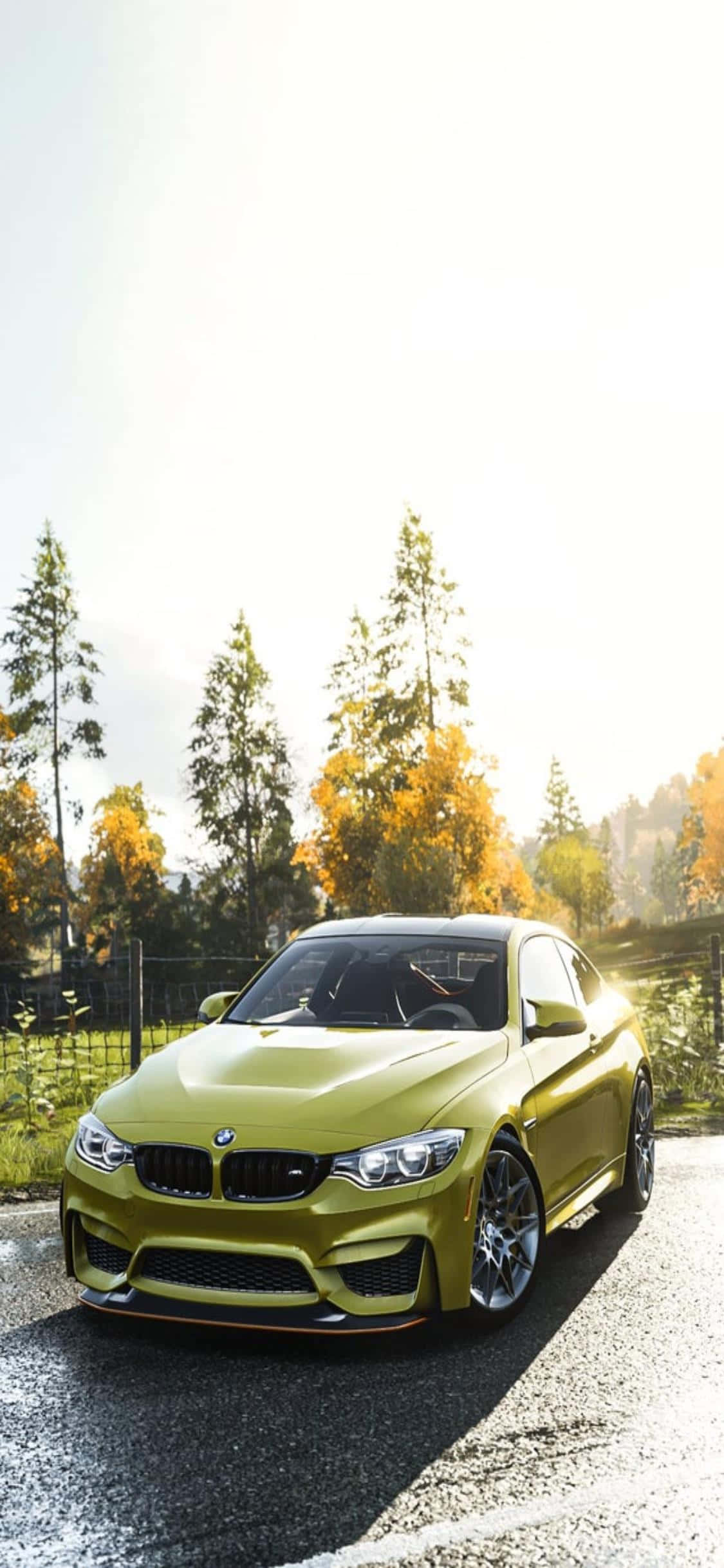 日落時分，秋日森林中的碎石路上停著一輛青檸綠色的BMW M4跑車。