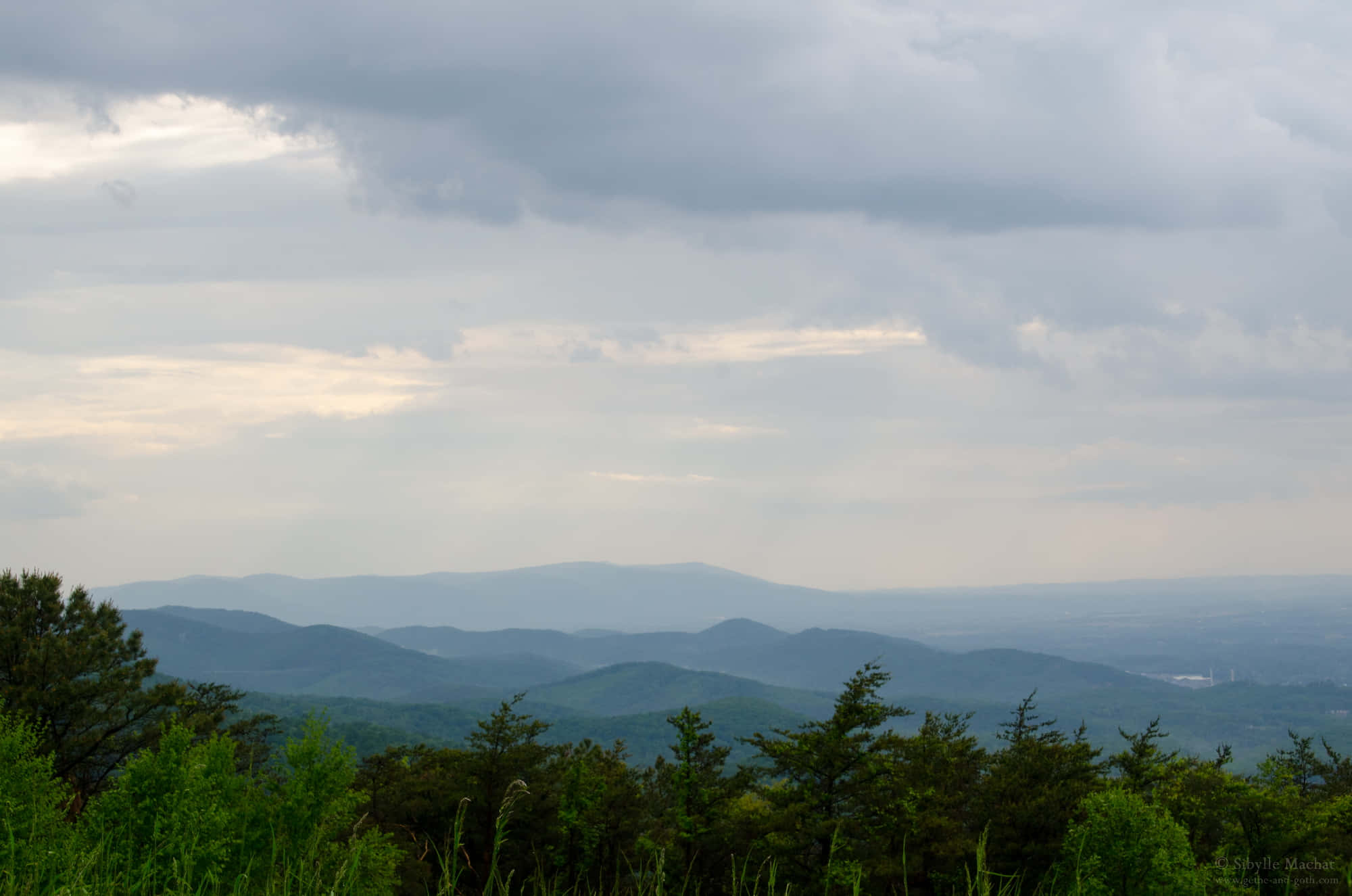 Blue Ridge Mountains 桌布 壁紙 — 連綿起伏的綠色山脈在廣闊多雲的天空下逐漸消失在迷霧中，四周環繞著深色的常綠樹。