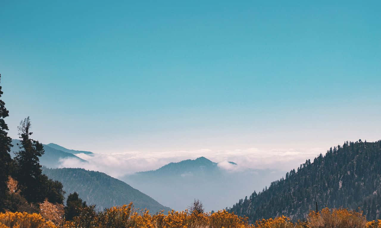 連綿起伏的雪山風景 壁紙 — 一個寧靜的山谷，霧雲纏繞山頂，在清澈的藍天下，被秋葉環繞。