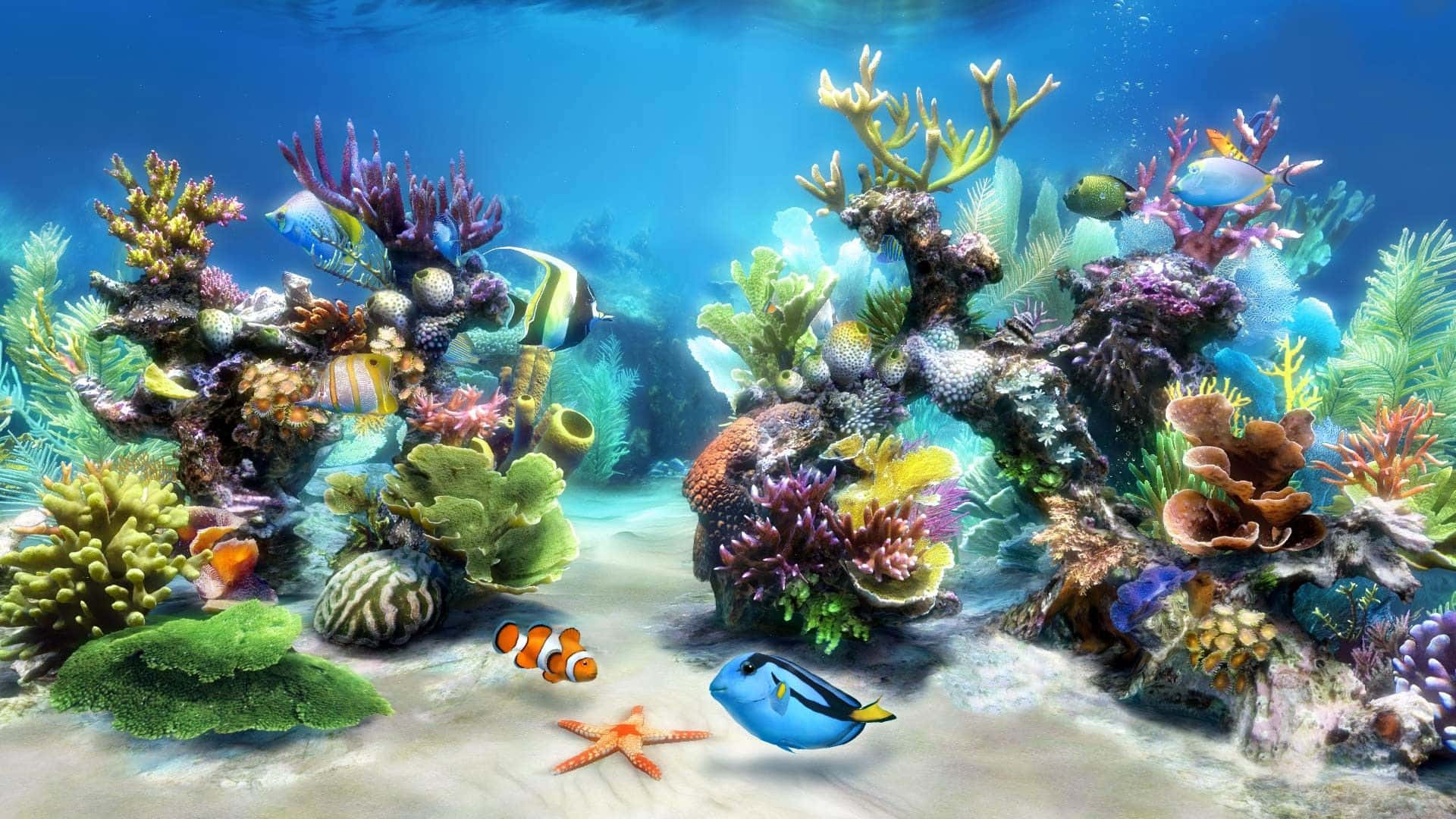 逼真尼莫與多莉魚缸背景 壁紙 — 充滿活力的珊瑚礁，在清澈湛藍的海水下，有色彩繽紛的魚類和海星。