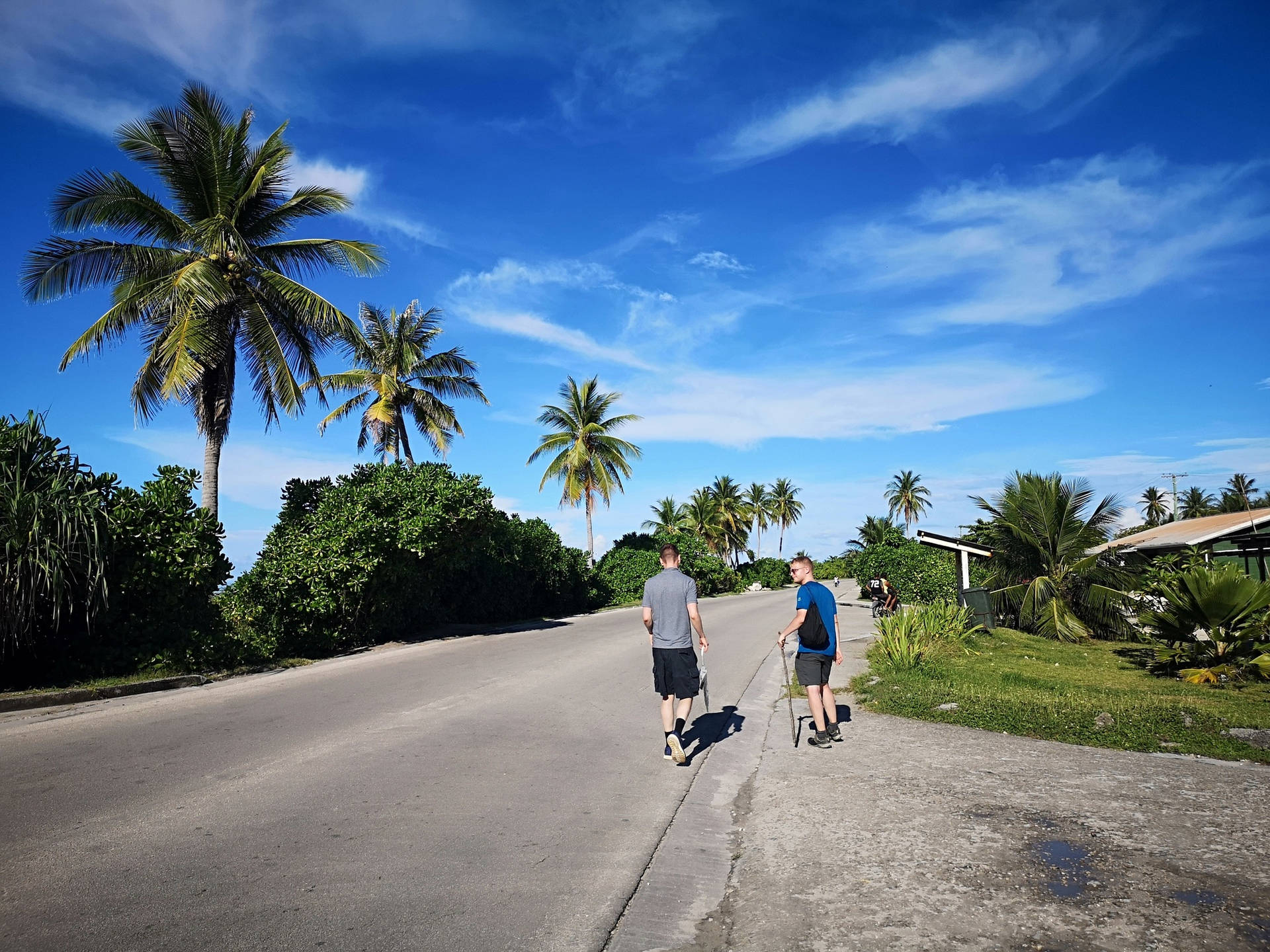 兩個人在有棕櫚樹和藍天的熱帶道路上行走。