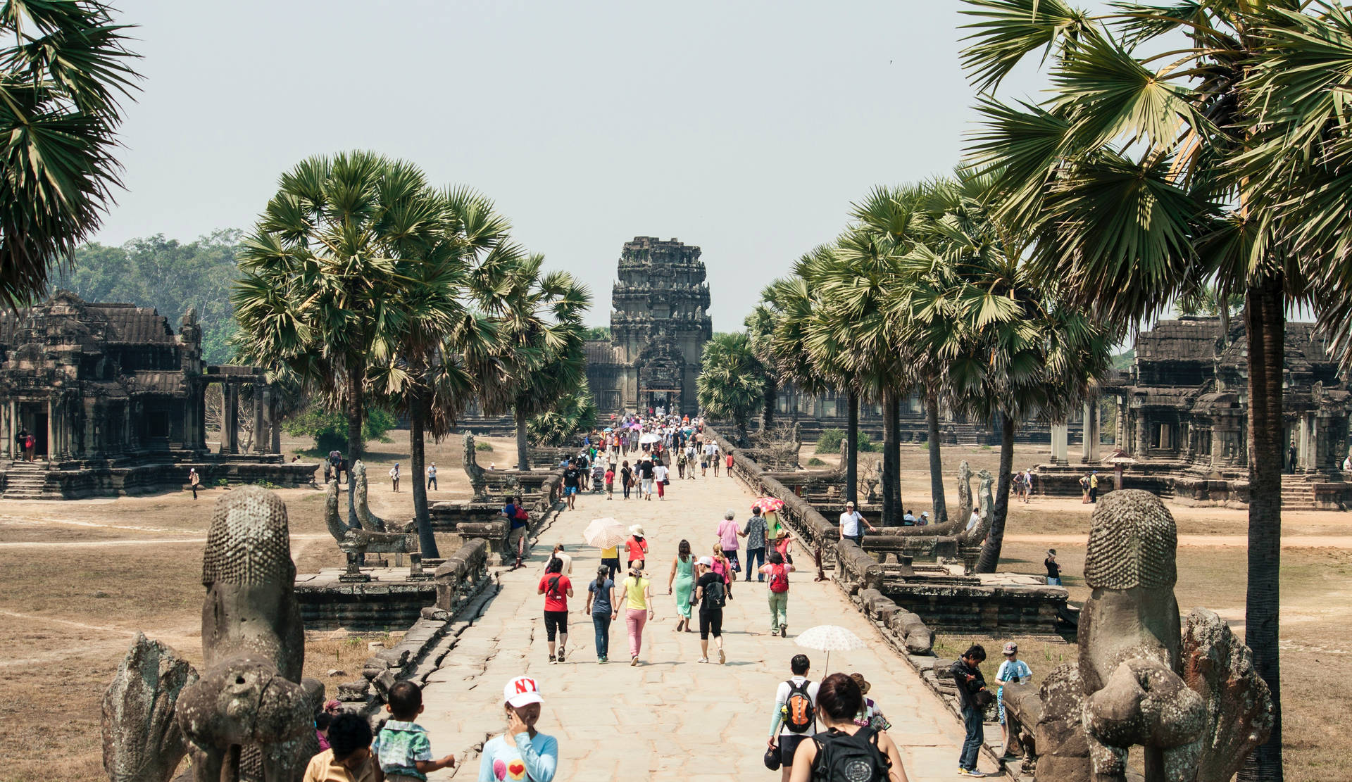 人們在陽光明媚的日子裡穿過棕櫚樹走向吳哥窟寺廟。