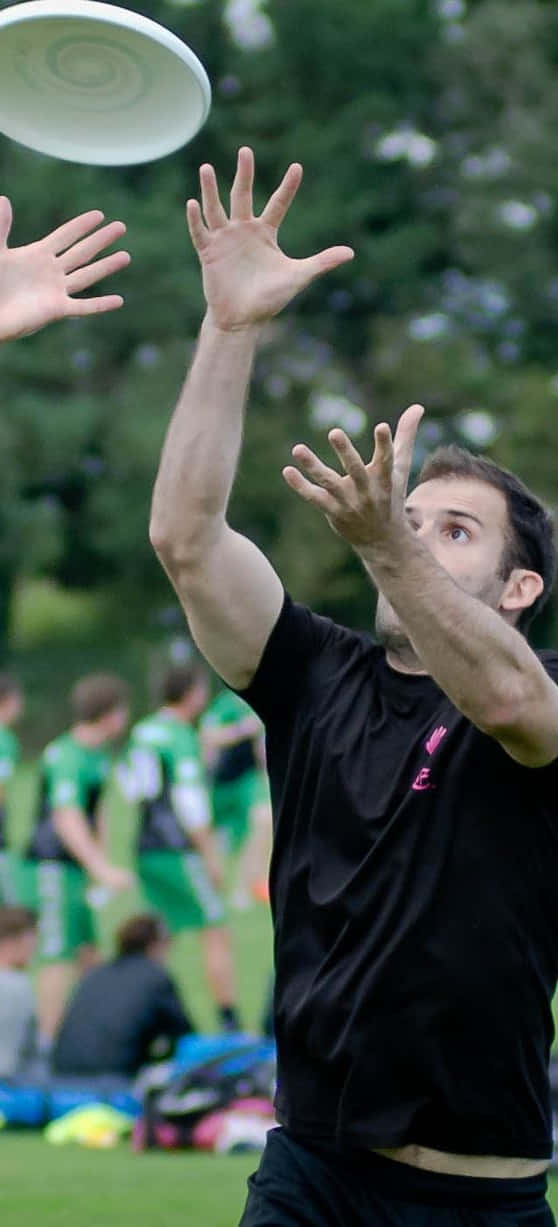運動員在Android Ultimate Frisbee背景中仰頭接飛盤 壁紙 — 一名身穿黑色襯衫的男子跳起接住白色飛盤，背景是模糊的綠色公園。