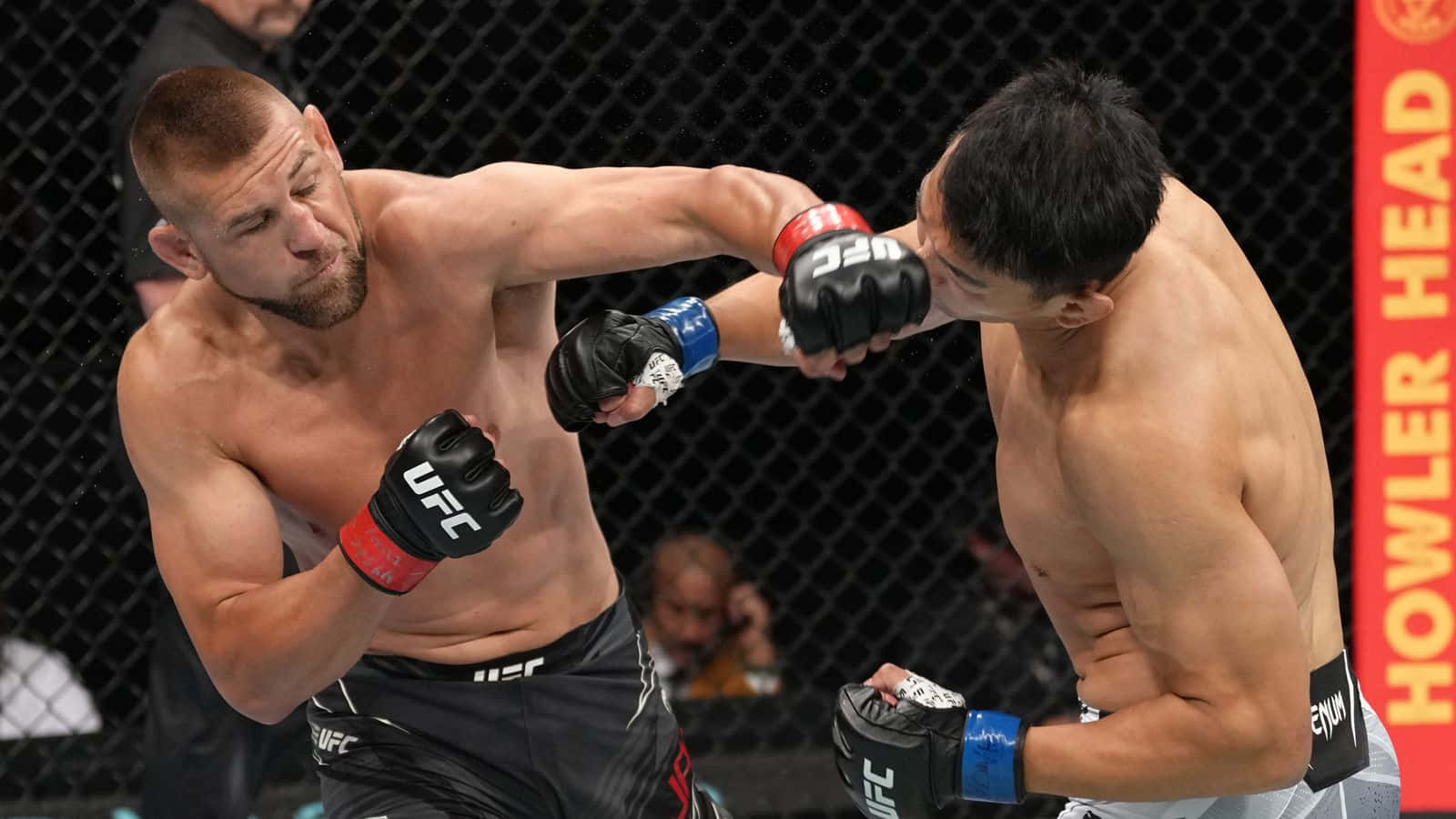 兩名男性拳手在籠中於綜合格鬥比賽中互相出拳。