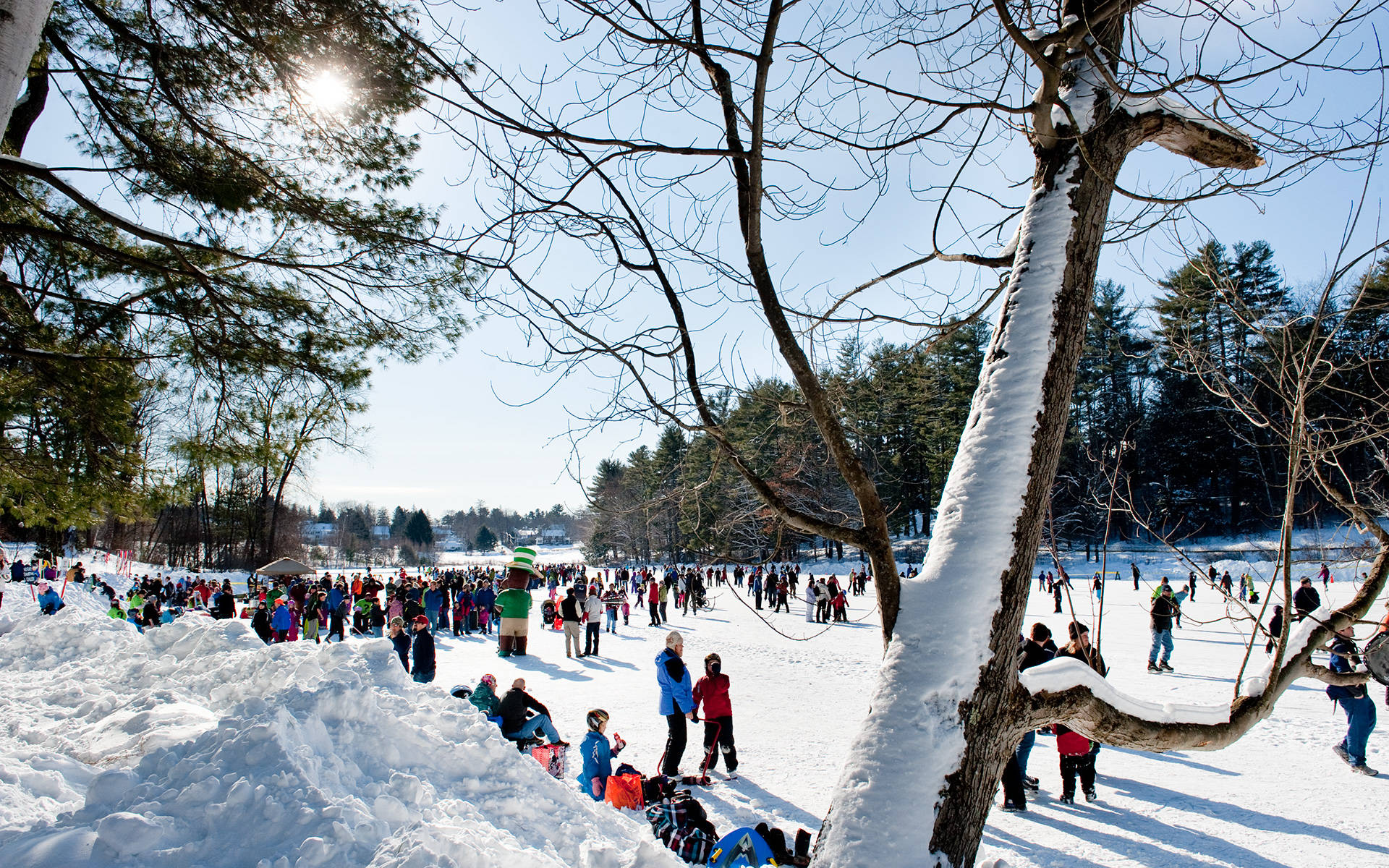 一群人在陽光明媚的日子裡在冬季公園的雪地裡玩耍。