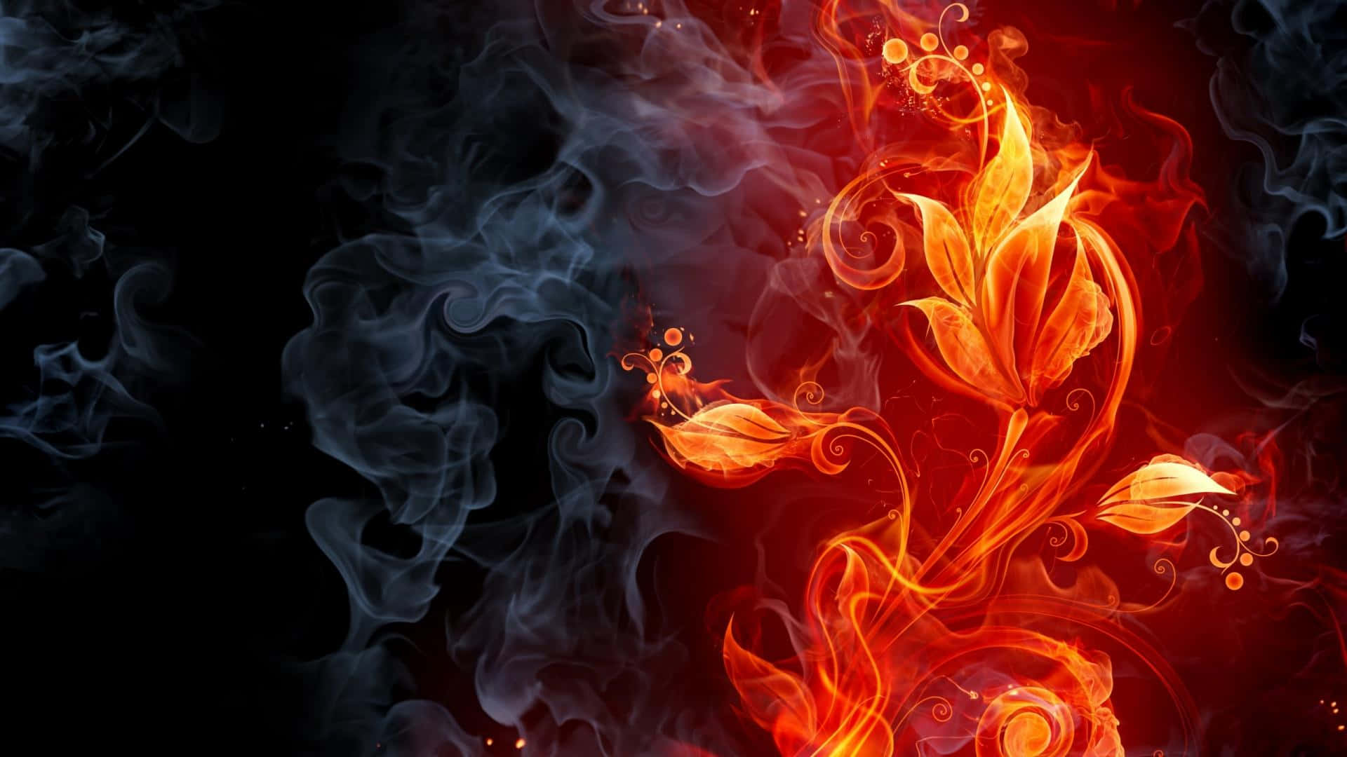 火熱的橙色和紅色花卉圖案在深色背景上與煙霧旋轉。