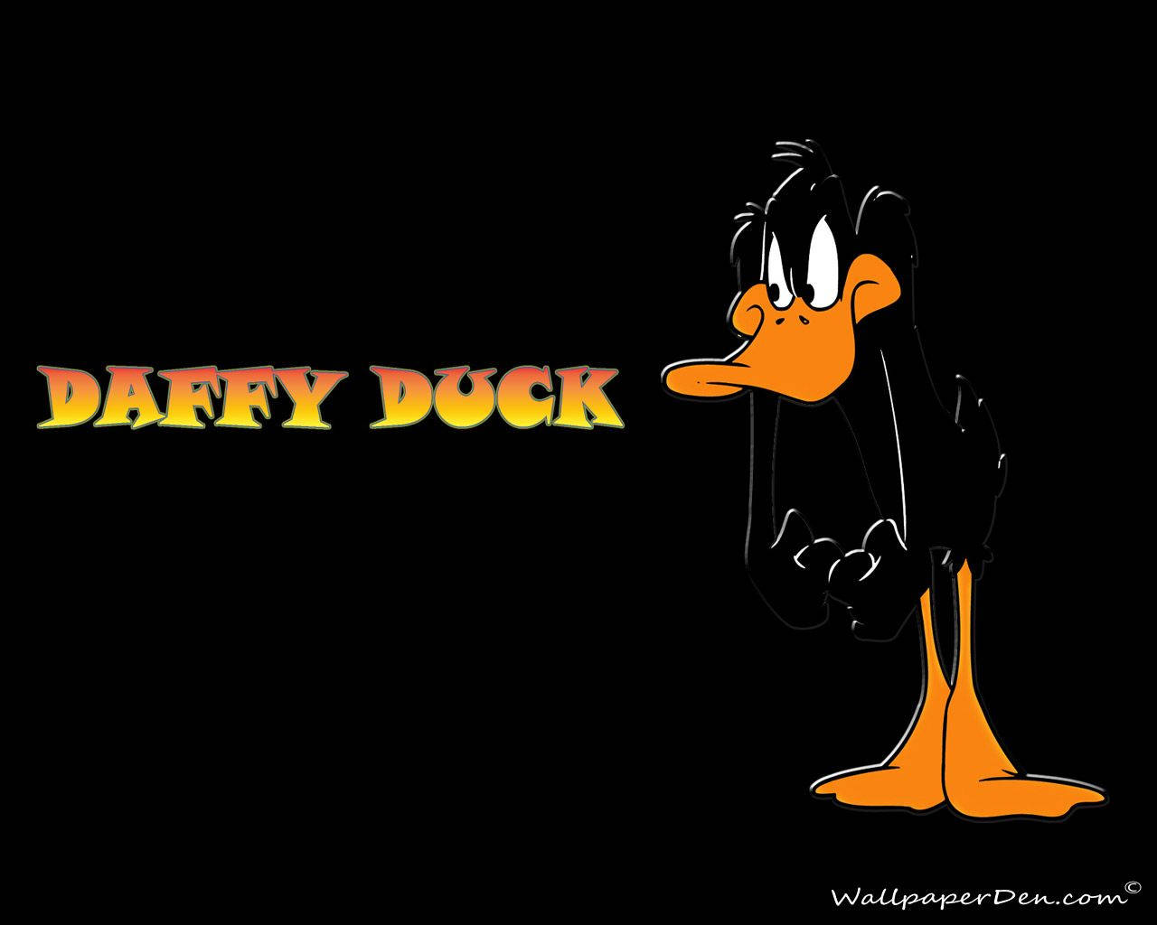Daffy Duck 卡通角色站立，旁邊有他的名字以黃色文字顯示。
