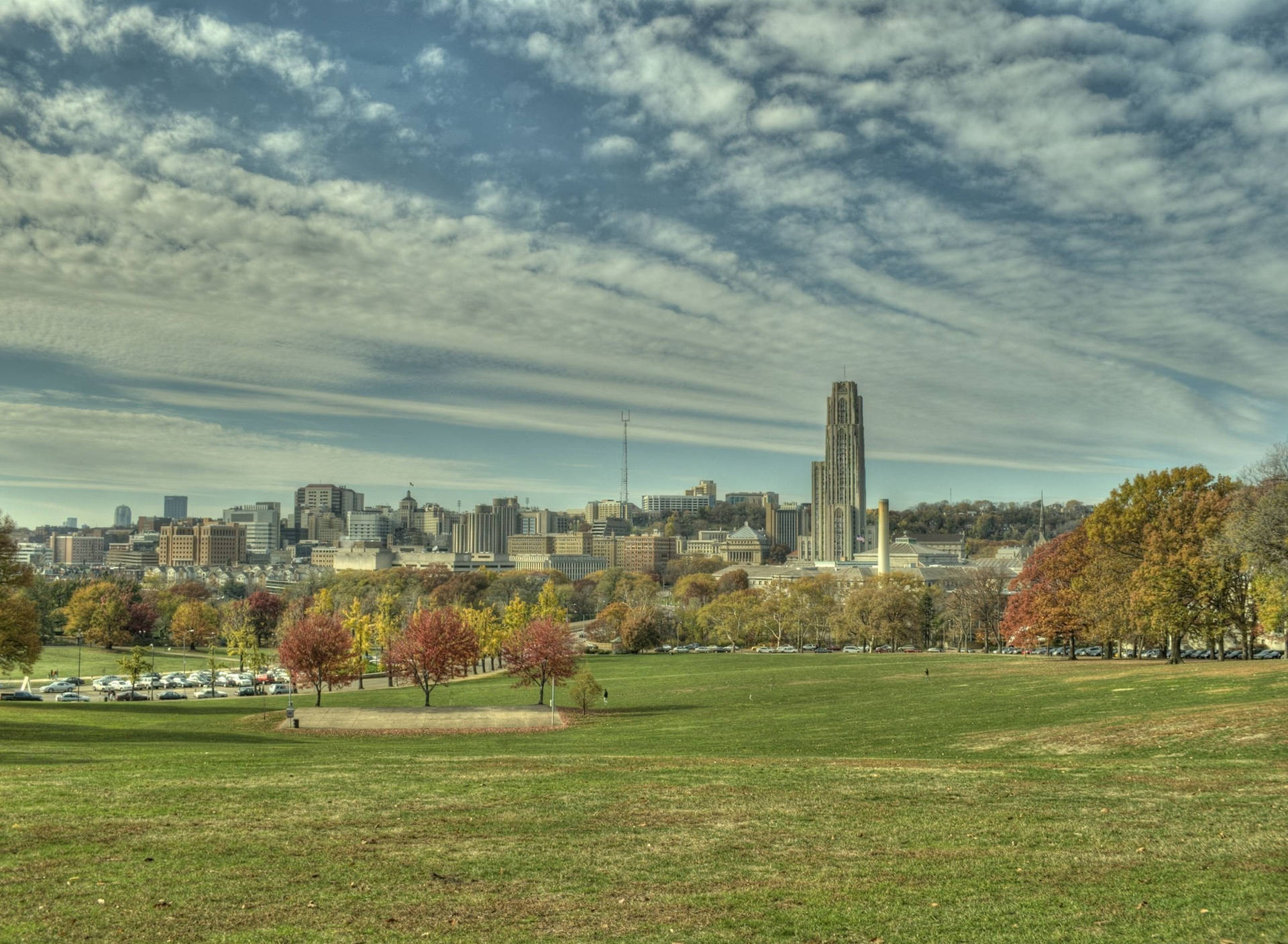 秋日公園，色彩繽紛的樹木和背景的城市天際線