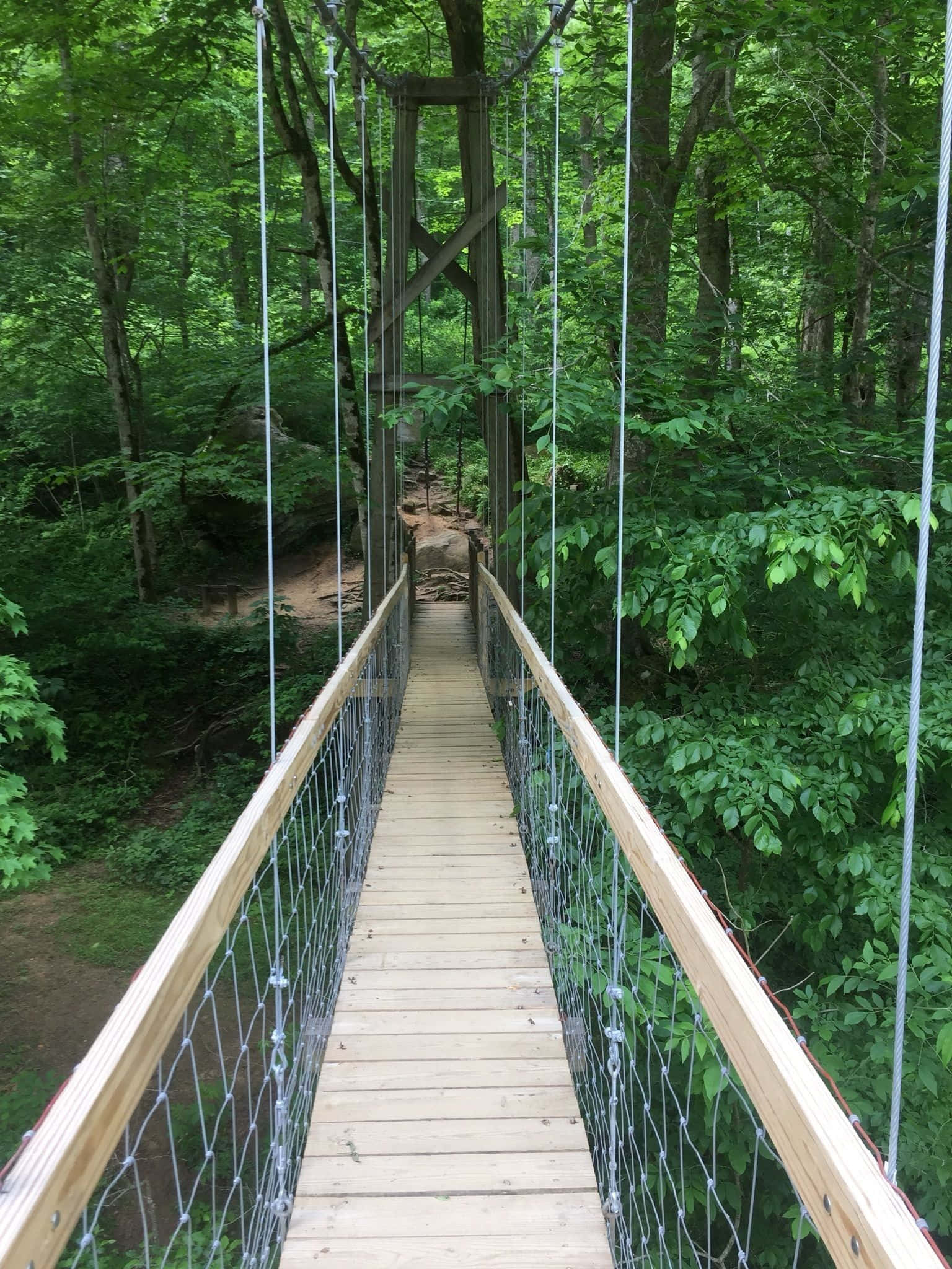 遠眺橋樑，風景如畫 壁紙 — 一座帶繩索欄杆的木製吊橋穿過茂密的綠色森林樹冠。
