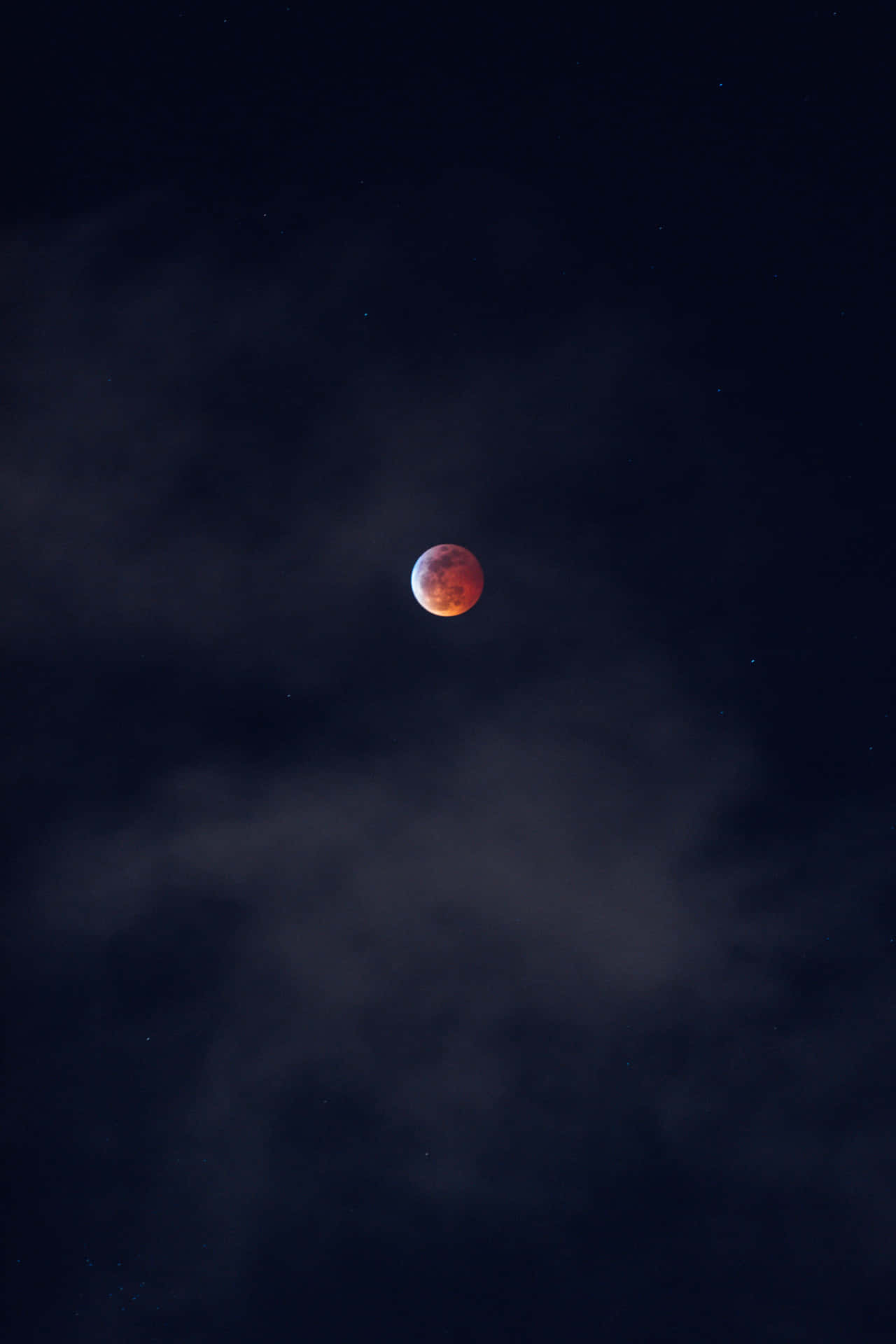 血月在繁星點點的夜空中穿雲升起。