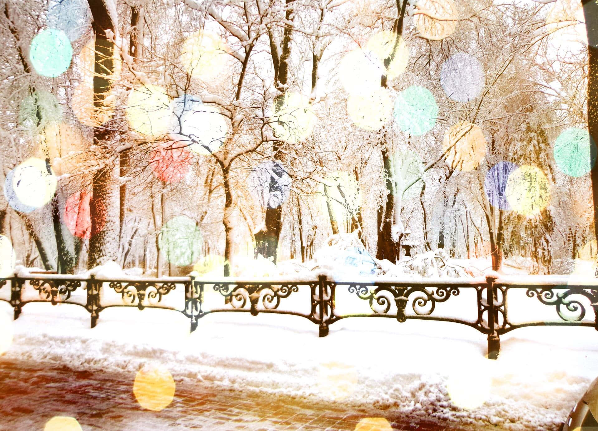 遠眺雪原的冬日奇景 壁紙 — 白雪覆蓋著一個冬季公園，有光禿禿的樹木和華麗的圍欄，在柔和發光的散景燈光下。